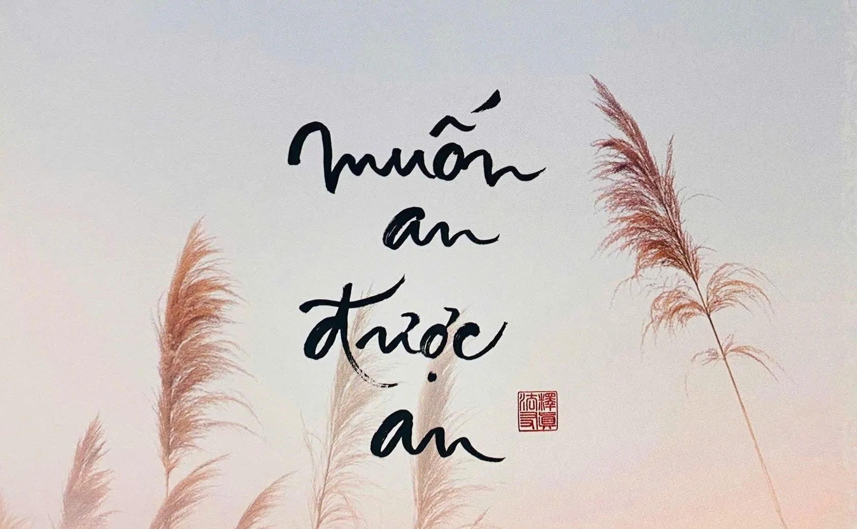 2024 - A year of gratitude…