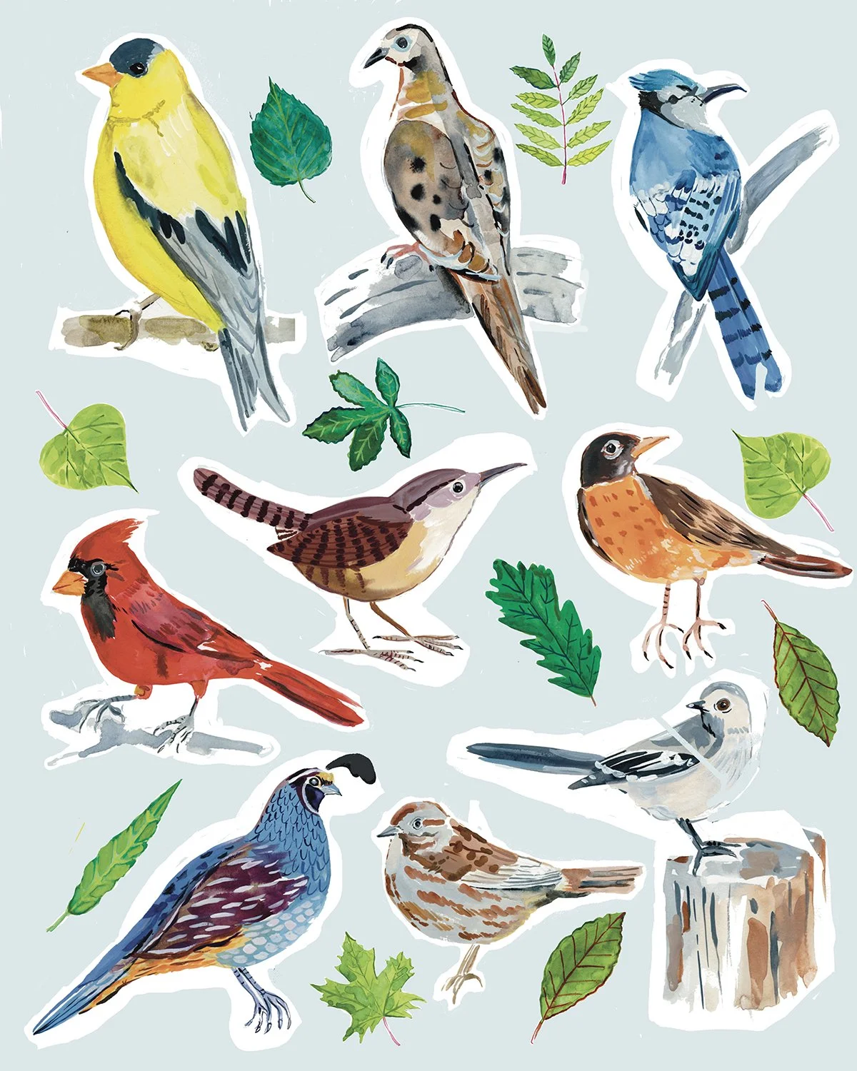 birds- plants- animals- nature.jpg