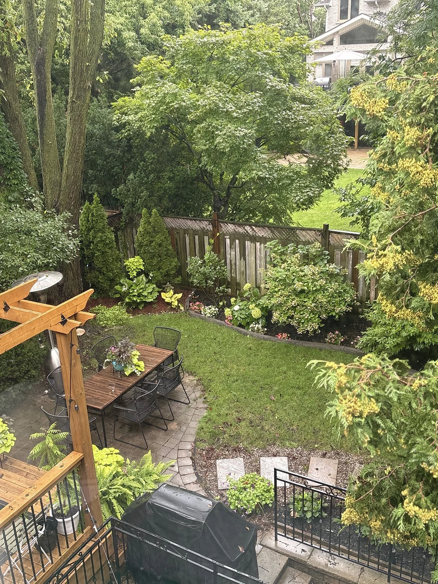 garden, flowers, summer