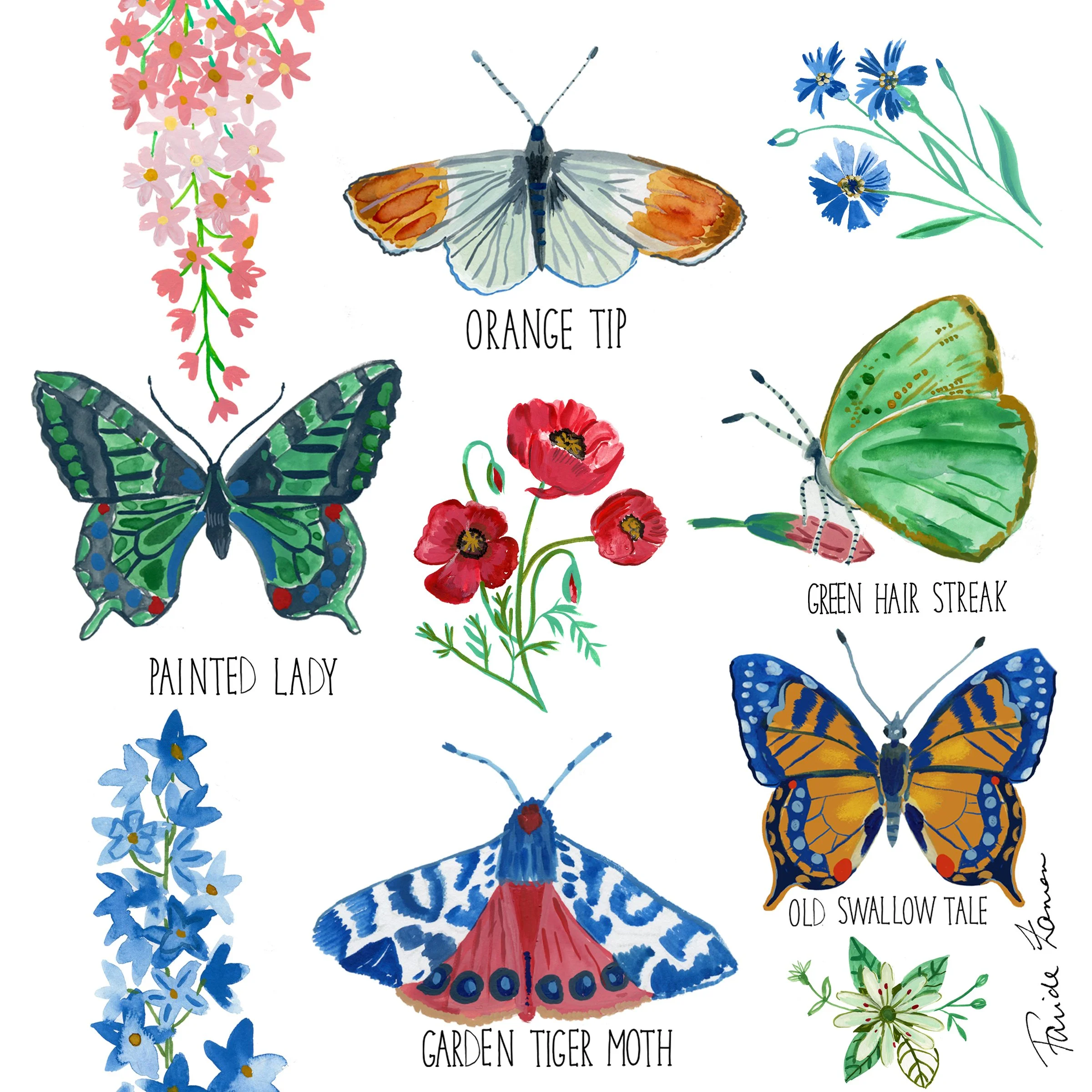 butterflies 2 copy.jpg