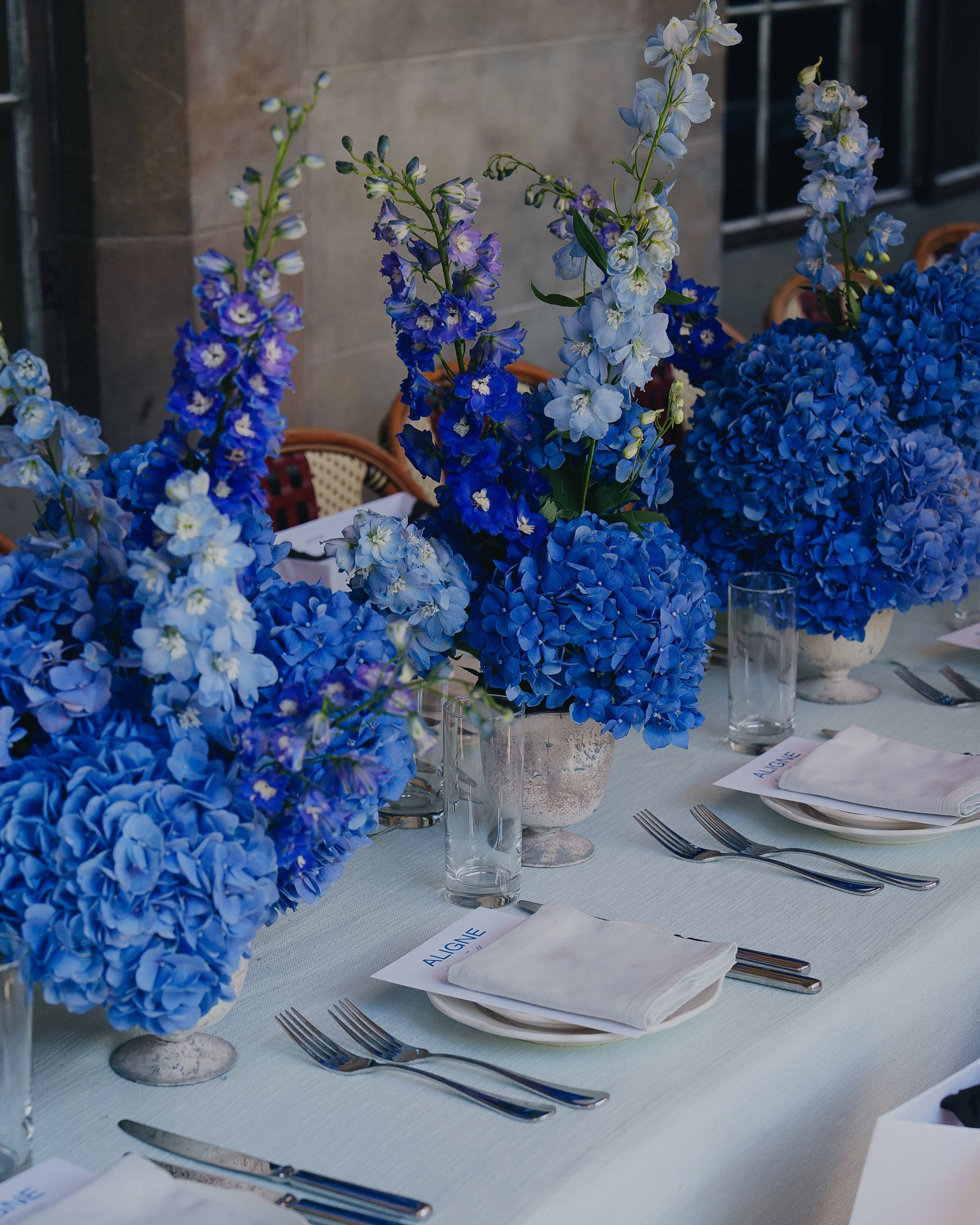 Aligne at Chateau Marmont