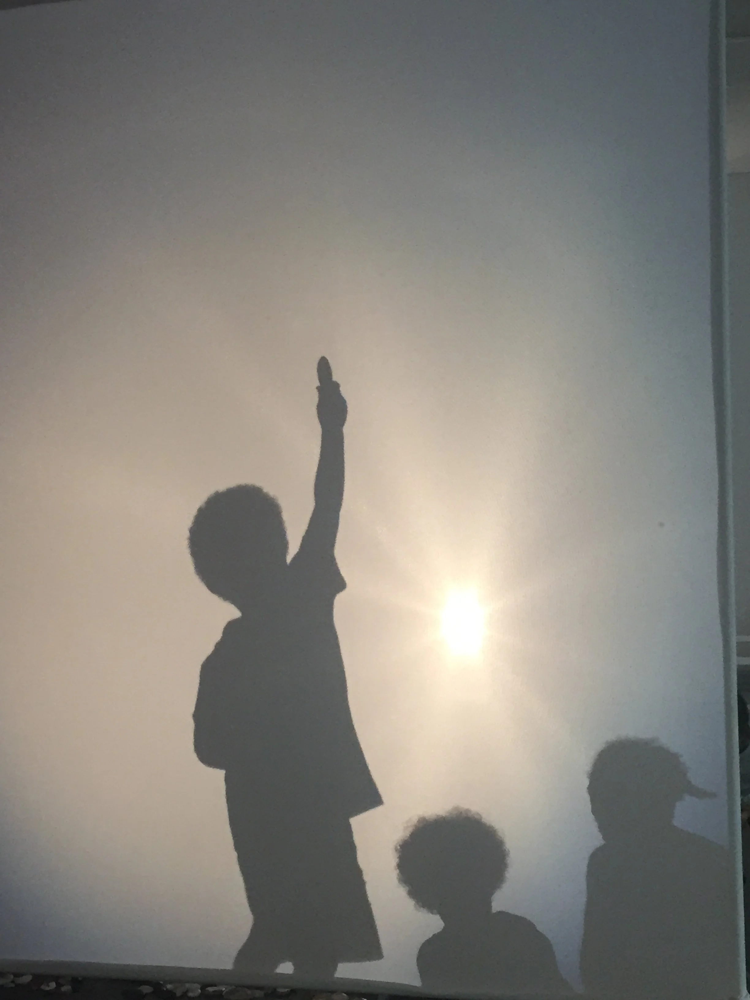 investigating light.JPG
