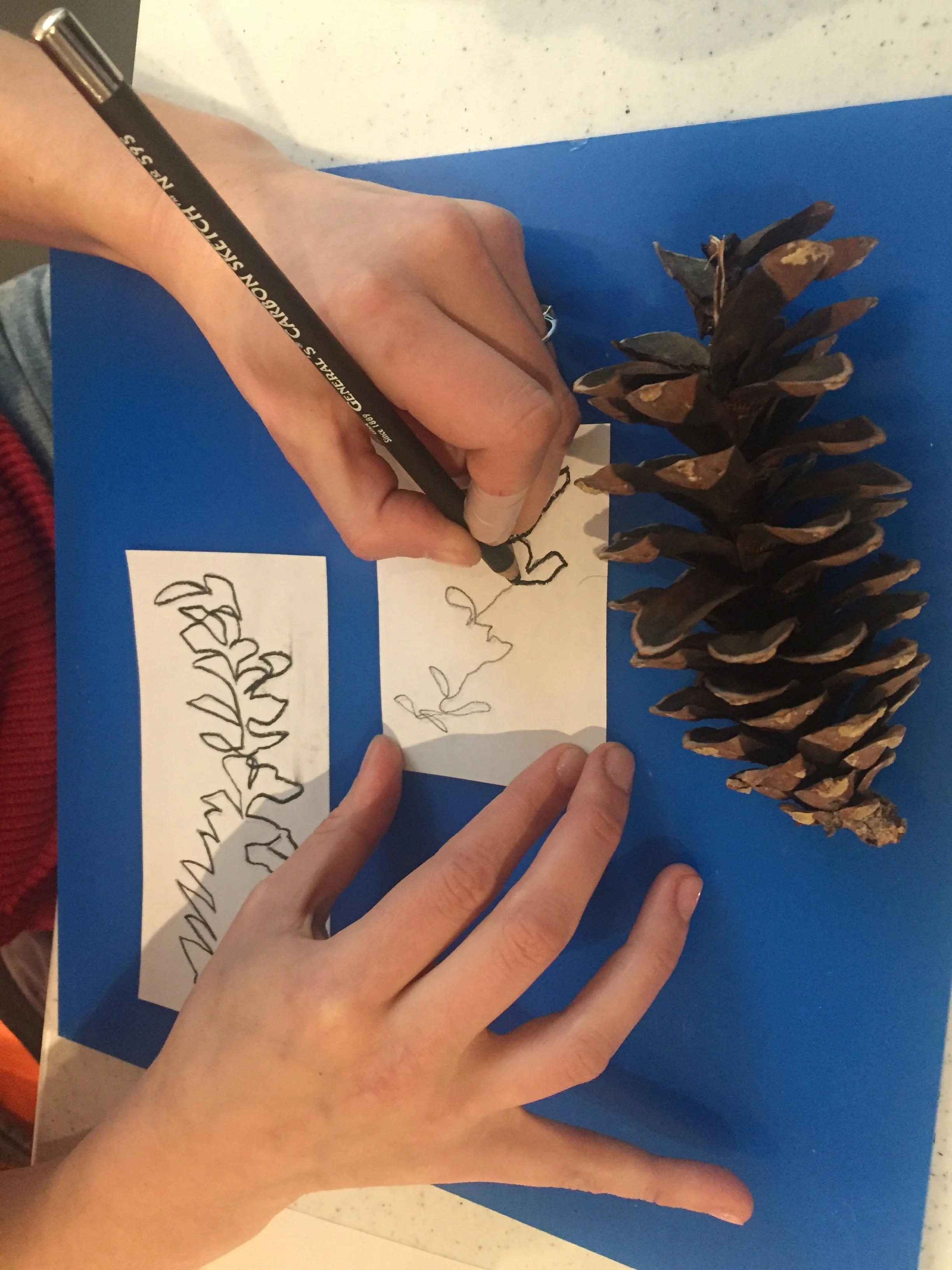 observational drawing.JPG