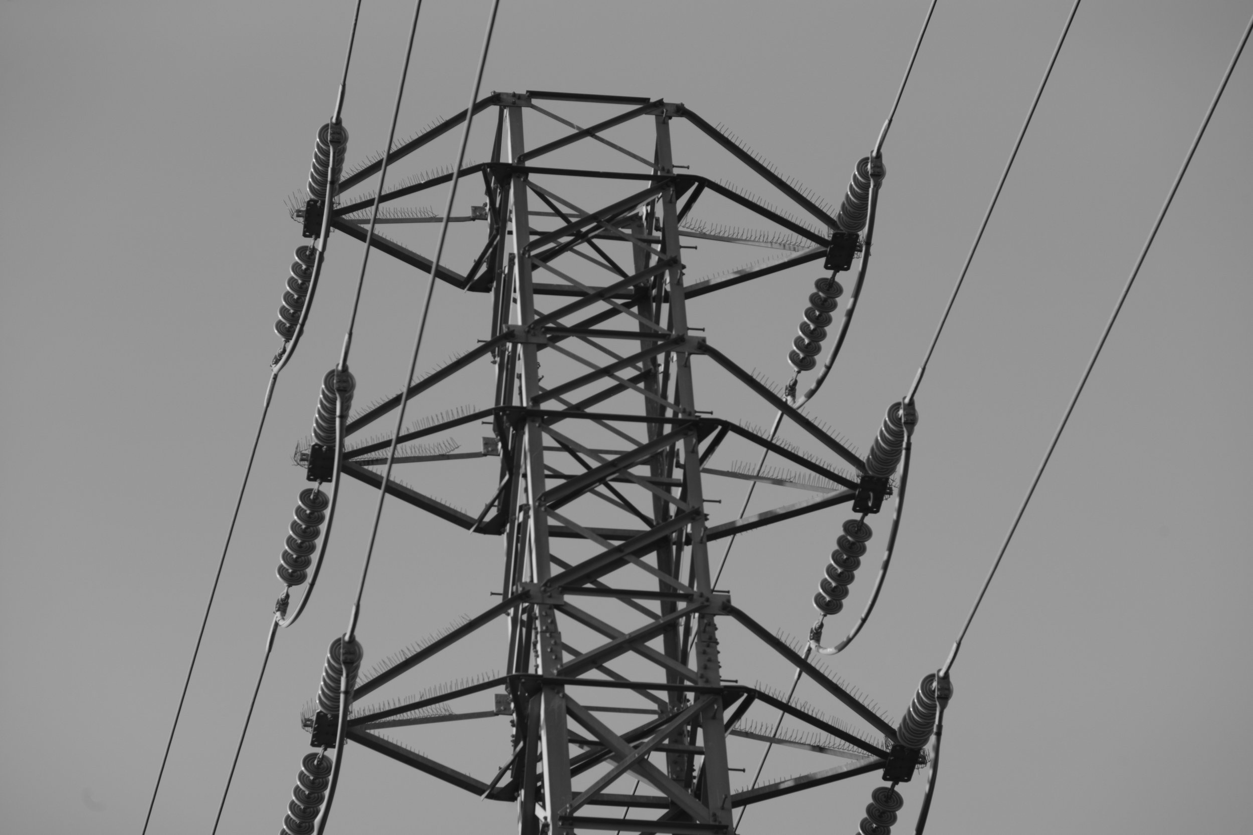 Electrifying
ID# L1009665
China Flats Trail, CA
16x20 Print: $150
16x20 Framed: $650