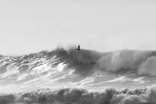 Bird surfing the storm  
ID # L1000442  
Ventura, CA   
16x20 Print: $150 
16x20 Framed: $650