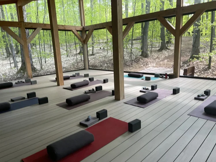 Wild &amp; Free Forest Immersion Day Retreat