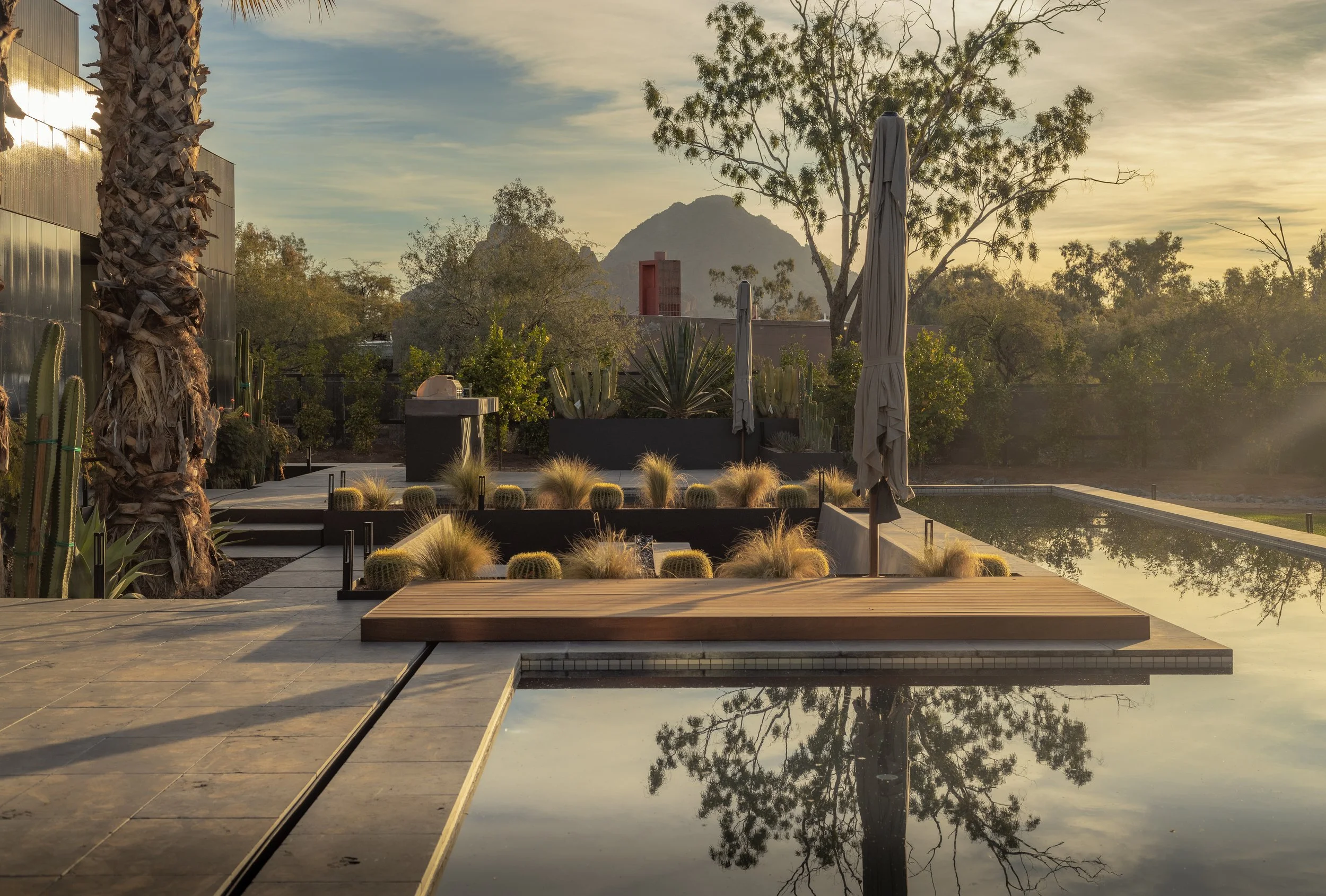 STANFORD-5.JPG
