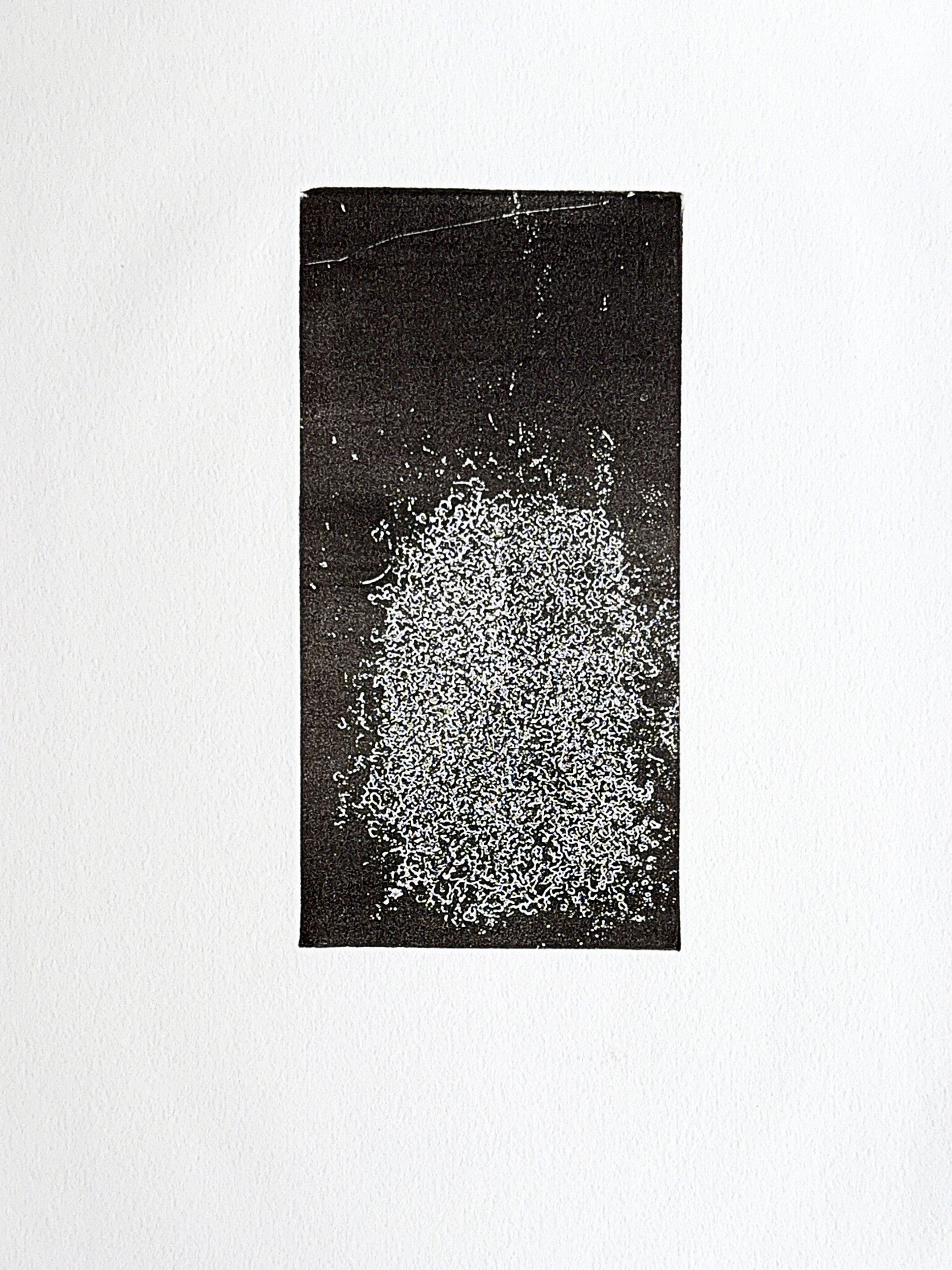 print-6.jpg