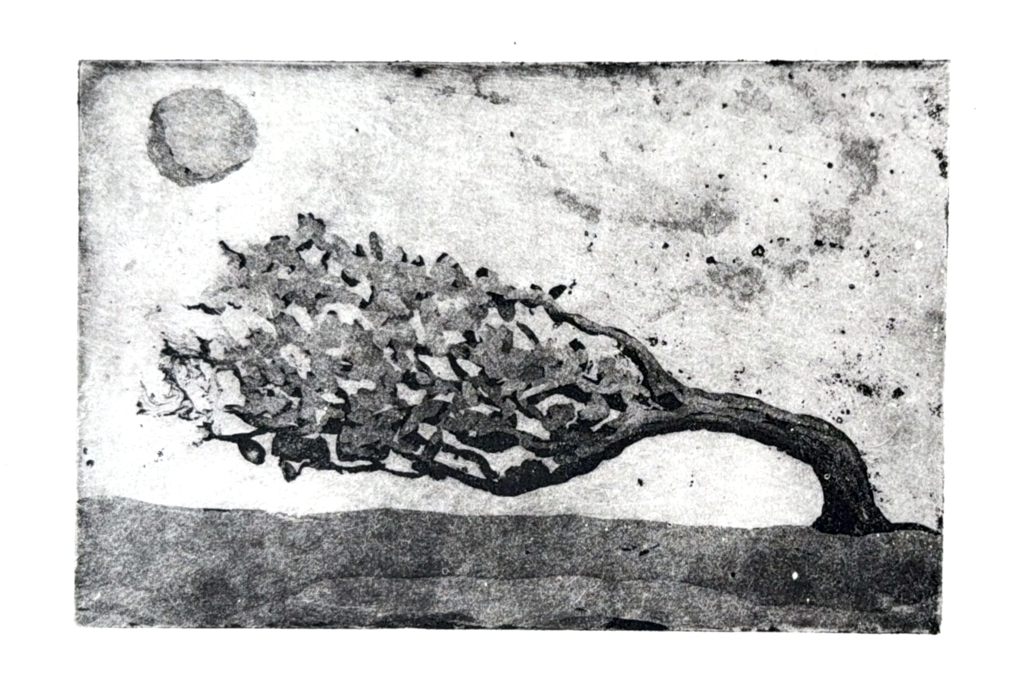 Hermann Isaac aquatint and sugar lift etching print. Decaying Tree. Learn contemporary aquatint and sugar-lift etching techniques to create expressive, tonally rich intaglio prints under the guidance of master printmaker Hermann Isaac. Proartika.com