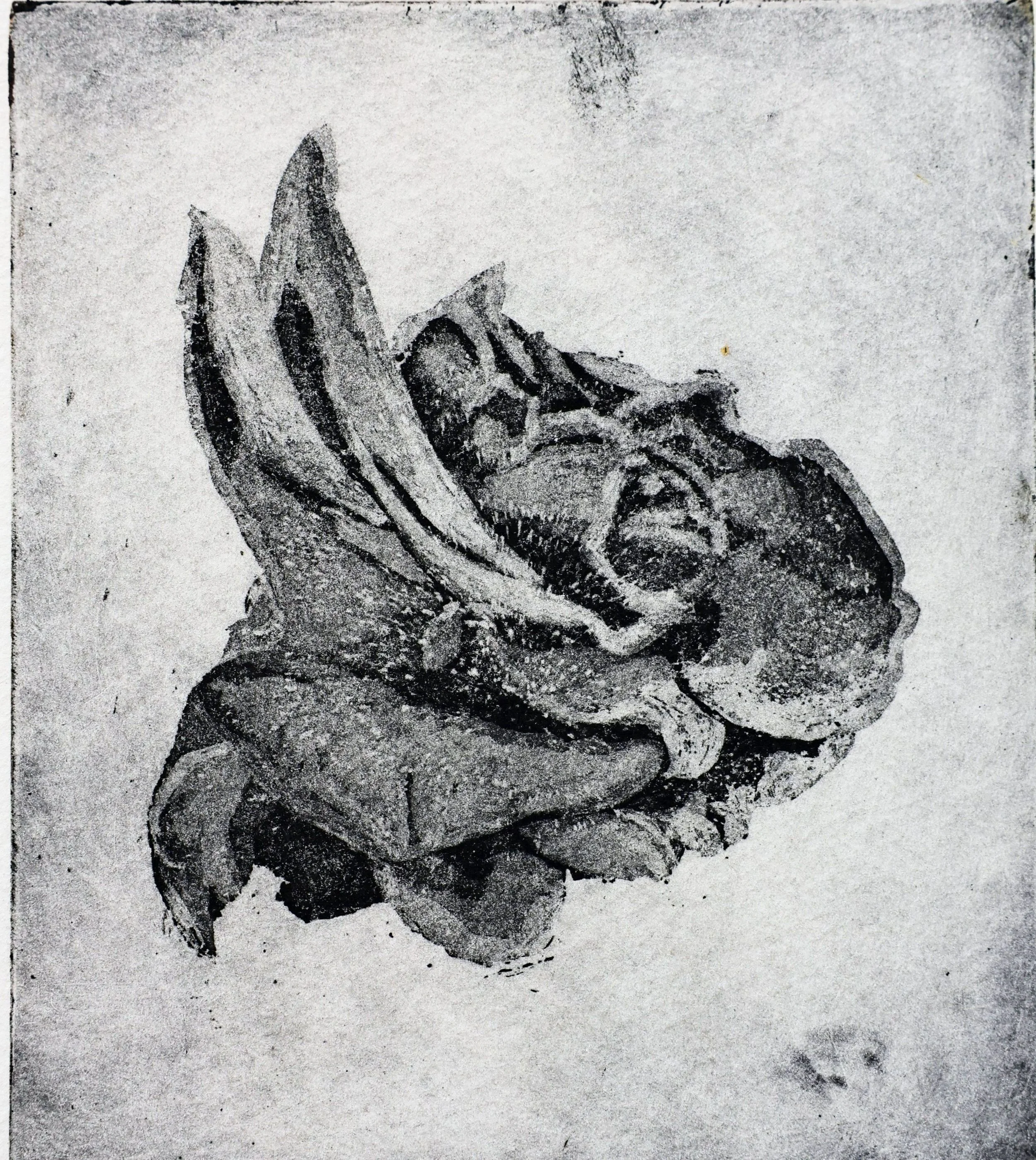 Aquatint etching showing rich blacks and subtle tonal transitions. Contemporary aquatint and sugar-lift etching by Hermann Isaac. Online workshop on Proartika.com