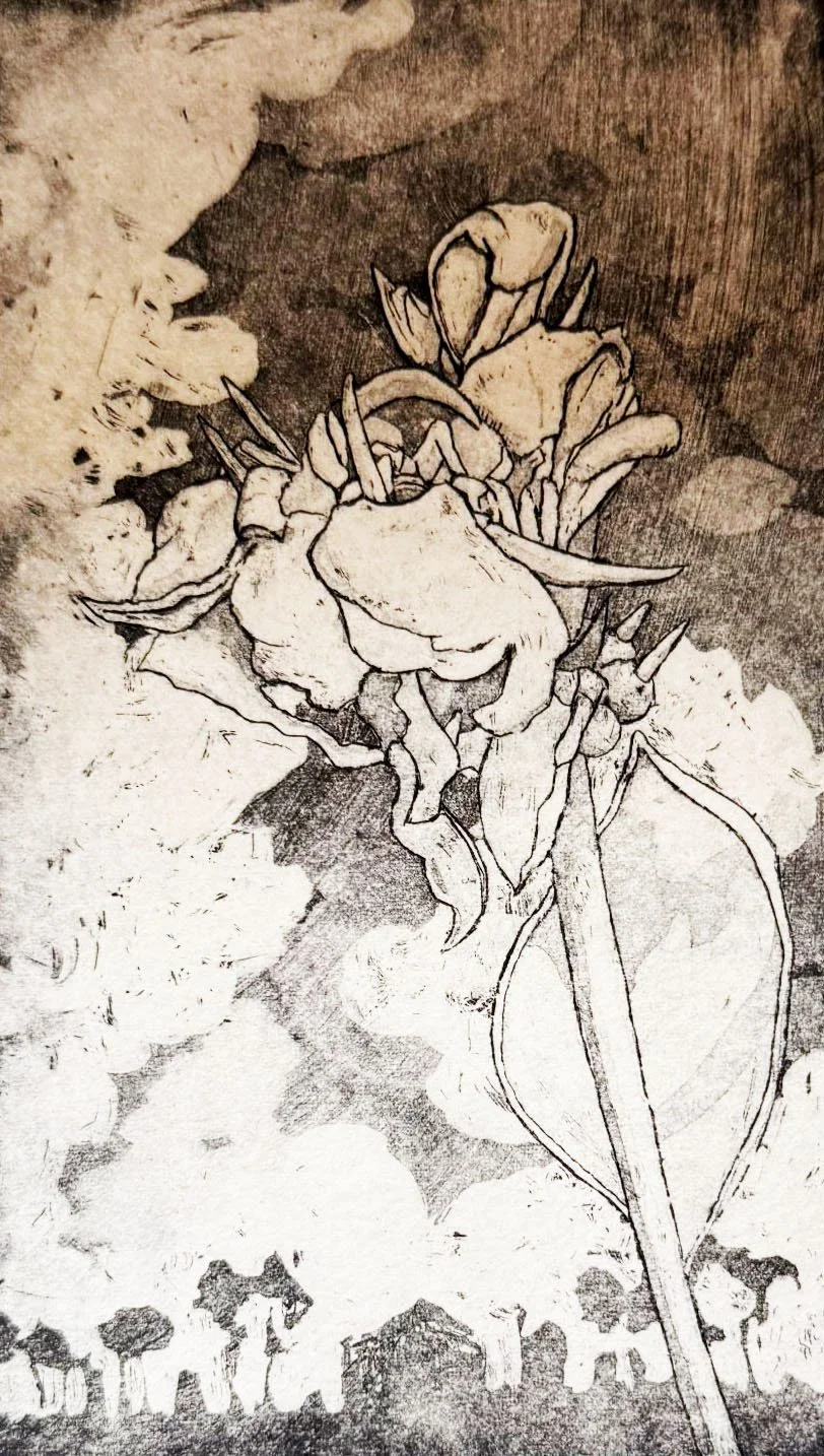 Aquatint etching showing rich blacks and subtle tonal transitions. Contemporary aquatint and sugar-lift etching by Hermann Isaac. Online workshop on Proartika.com