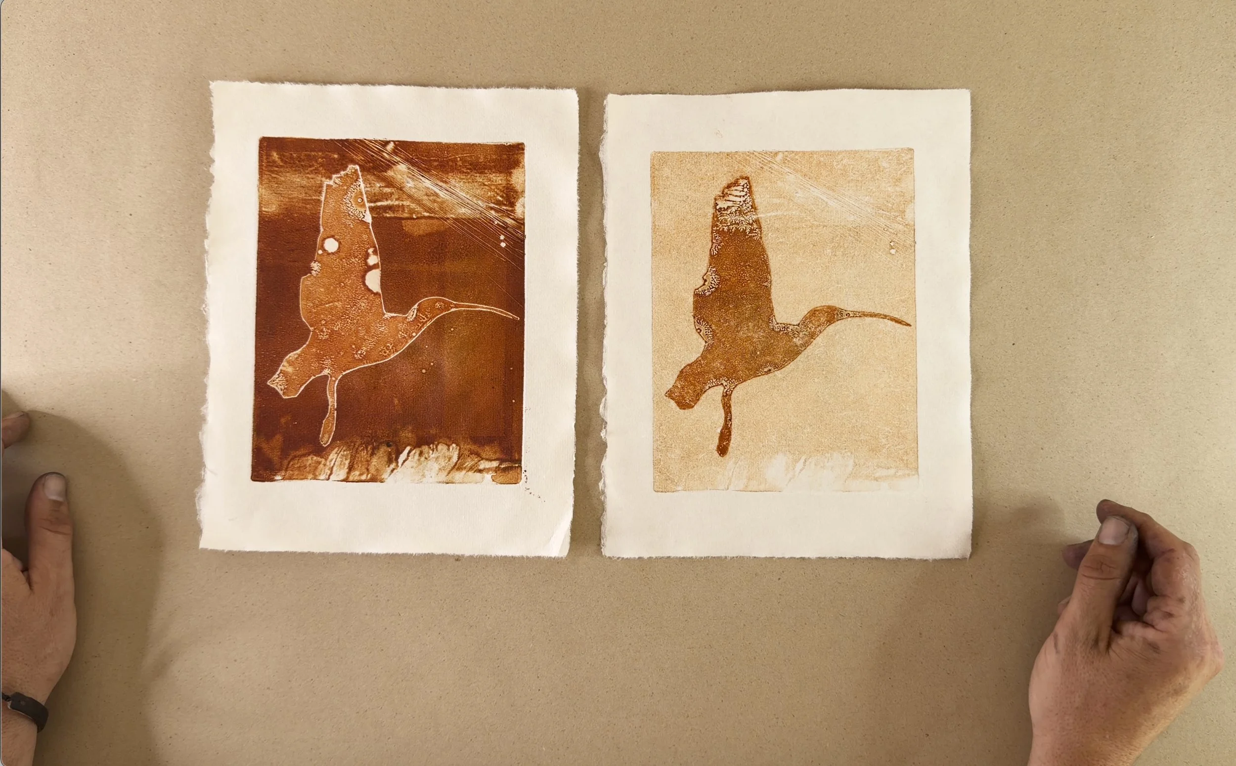 Experimental Monotype Printmaking Course with Francesco Geronazzo on proartika.com One of the monoprints made with a stencil, a bird cutout.