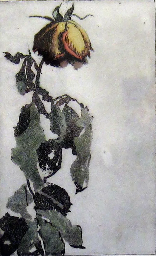 Aquatint etching showing rich blacks and subtle tonal transitions. Contemporary aquatint and sugar-lift etching by Hermann Isaac. Online workshop on Proartika.com