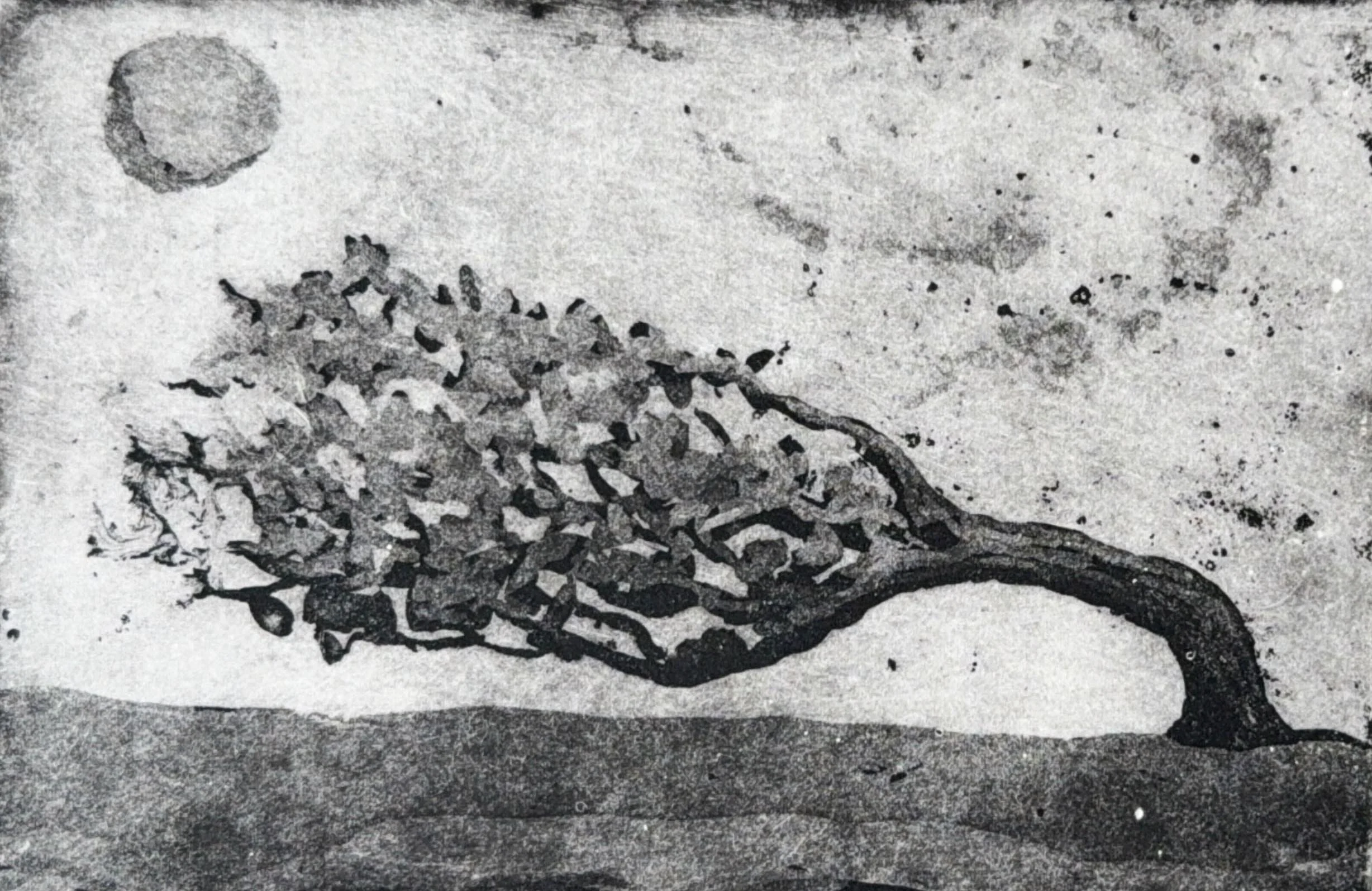 Aquatint etching showing rich blacks and subtle tonal transitions. Contemporary aquatint and sugar-lift etching by Hermann Isaac. Online workshop on Proartika.com