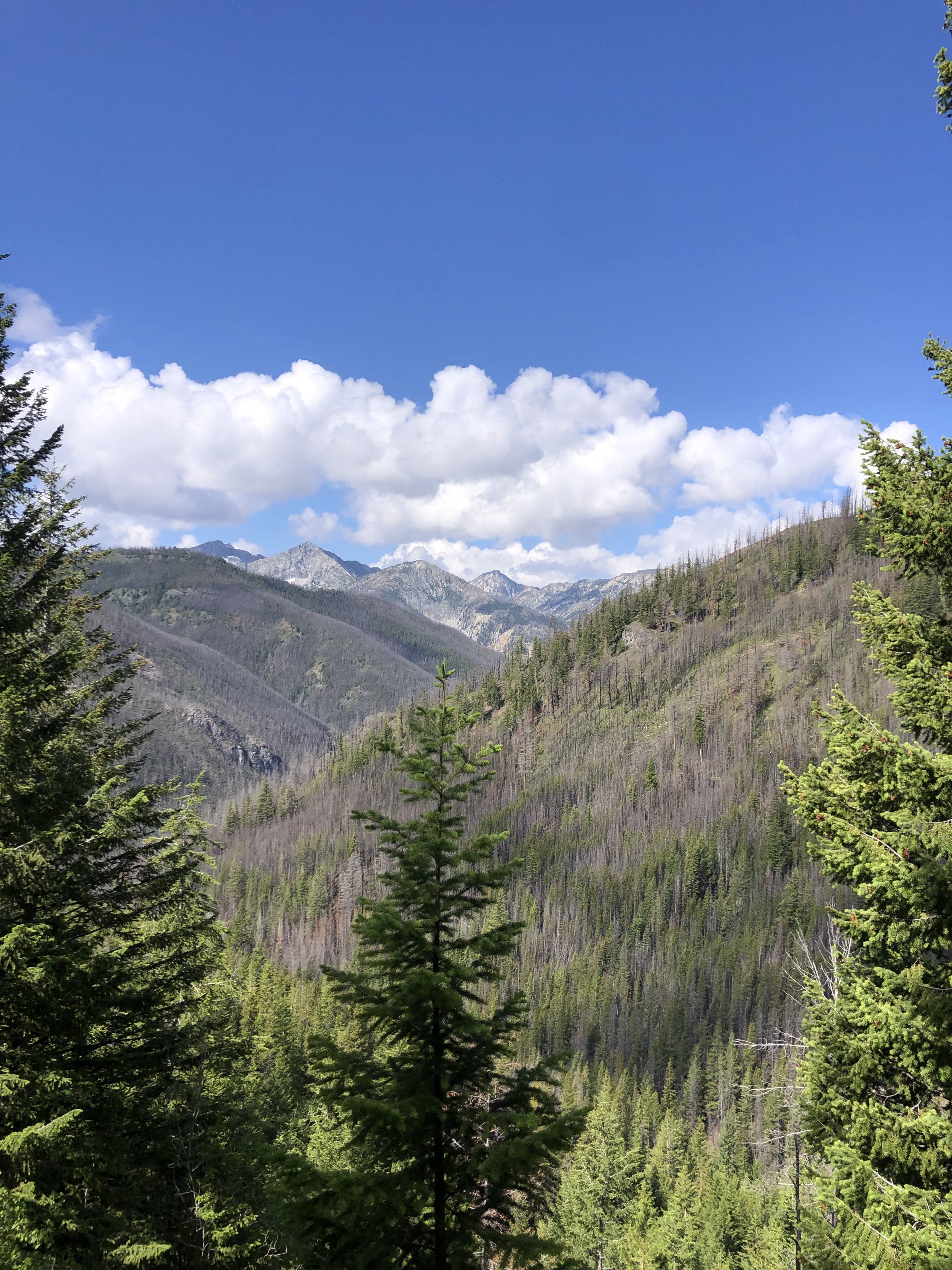 IMG_1677.jpeg