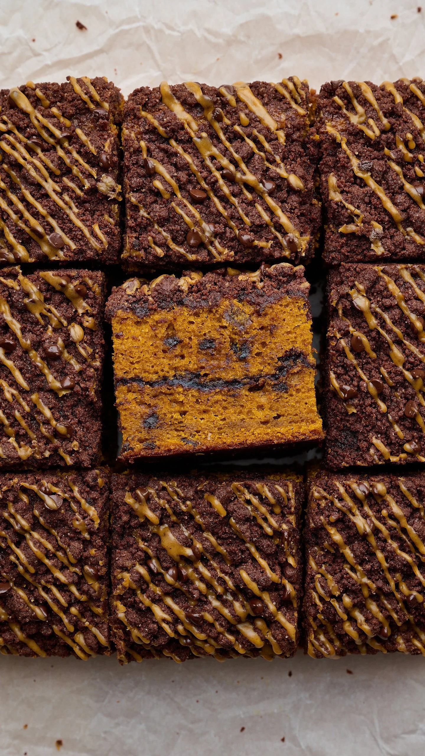 pumpkin chocolate chip coffee cake pumpkin coffee cake chocolate streusel best coffee cakes sour cream coffee cake
