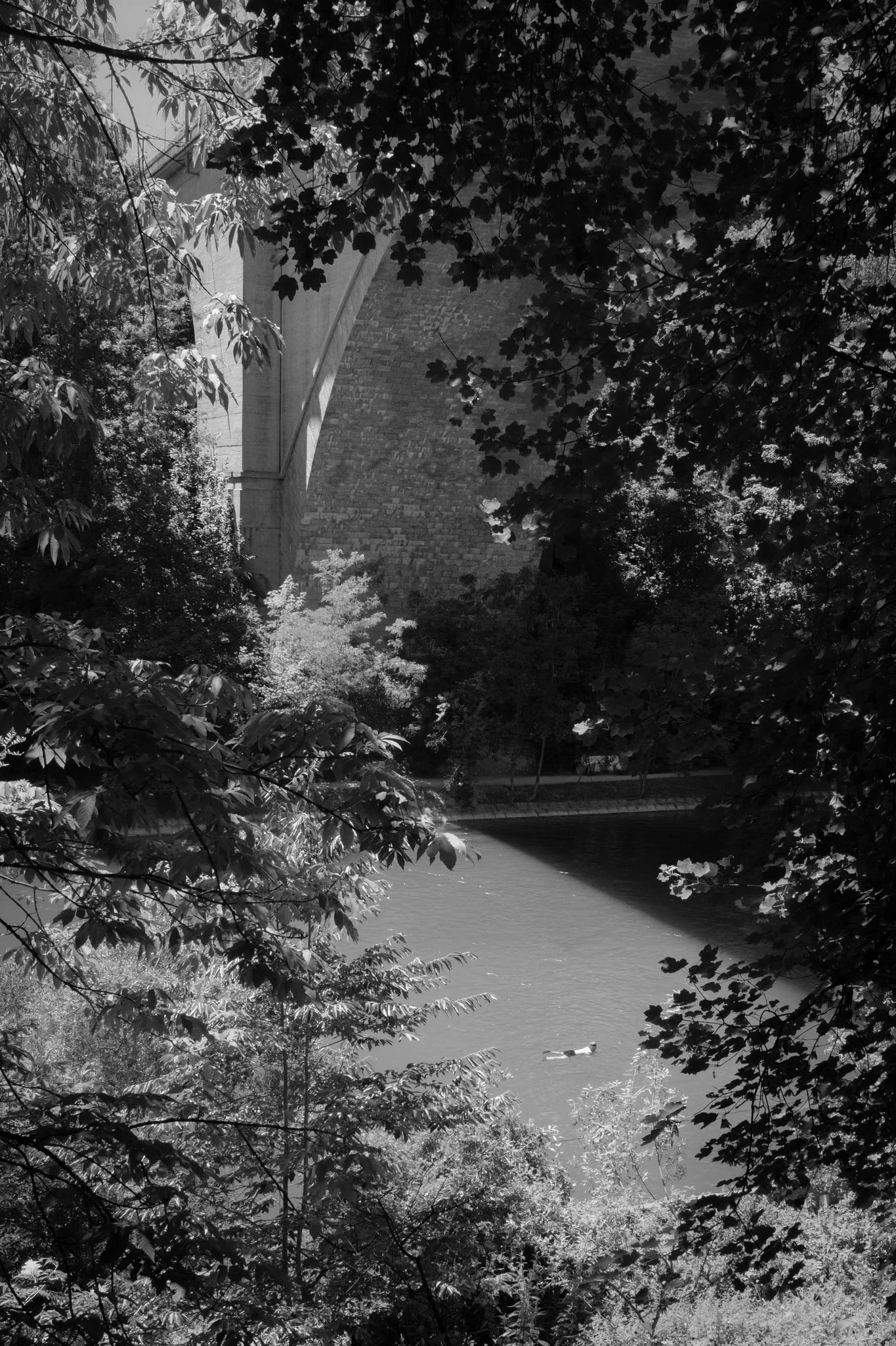 DSCF8547.jpg