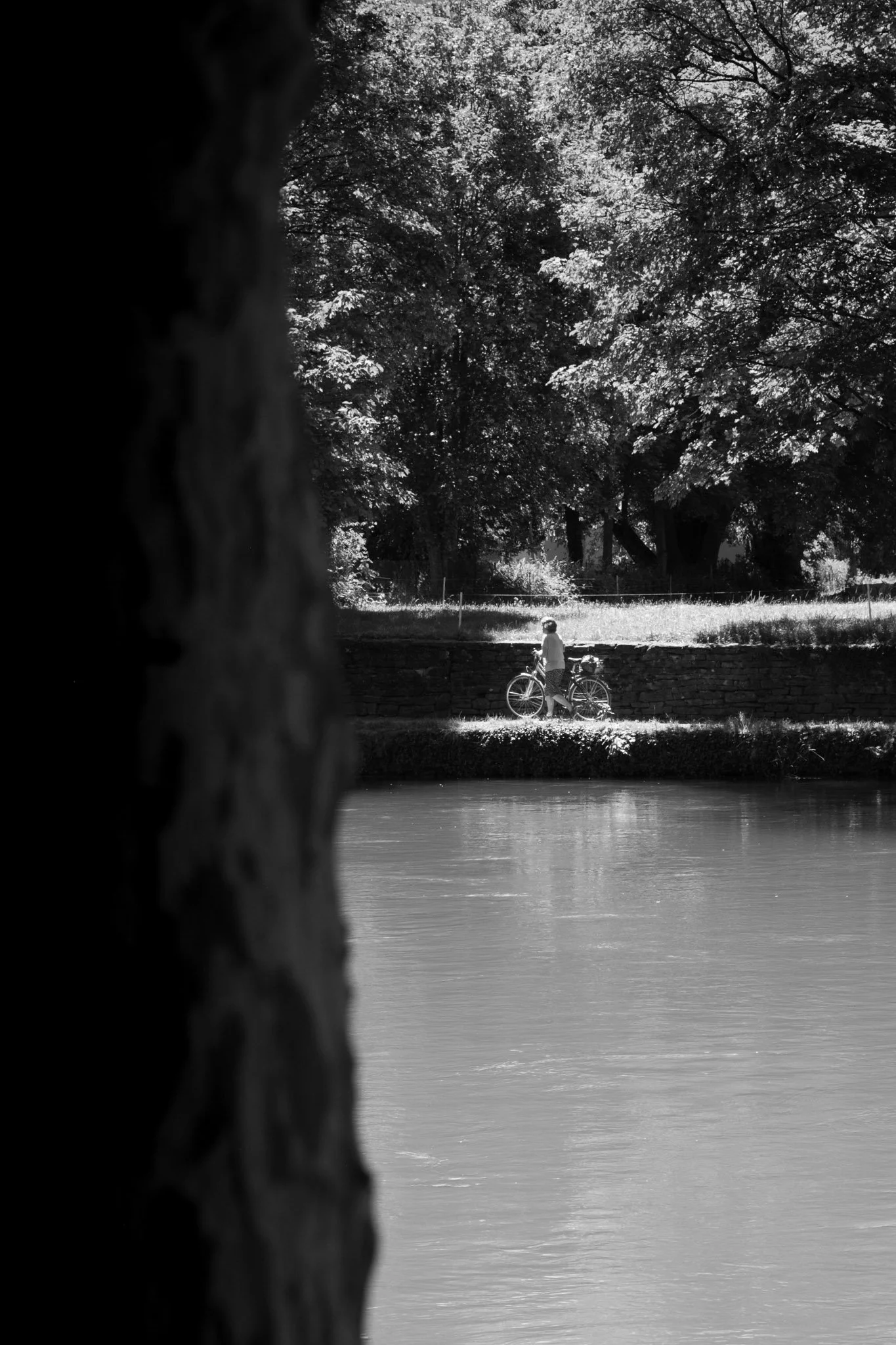 DSCF8238.jpg