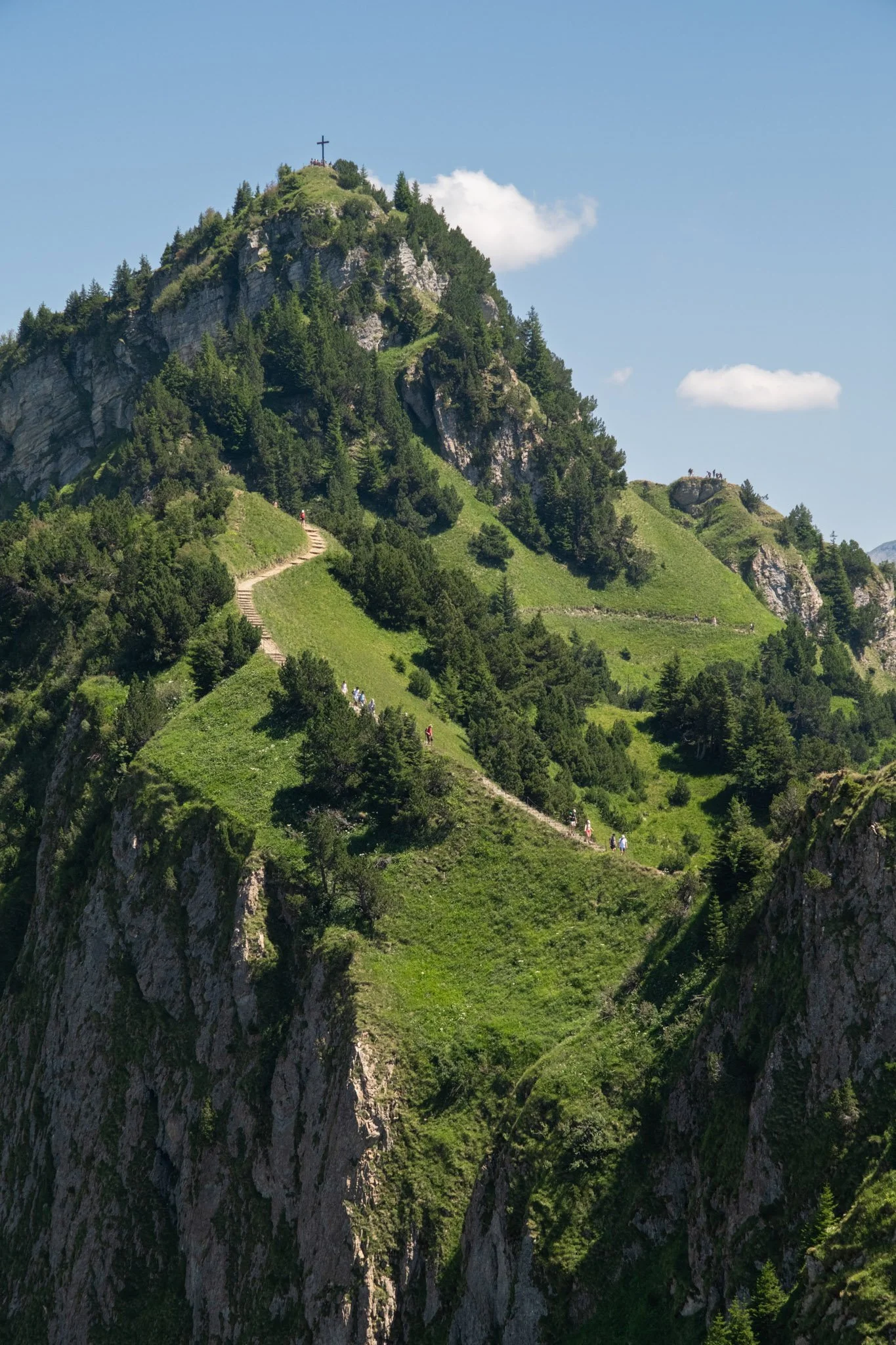 DSCF8755.jpg