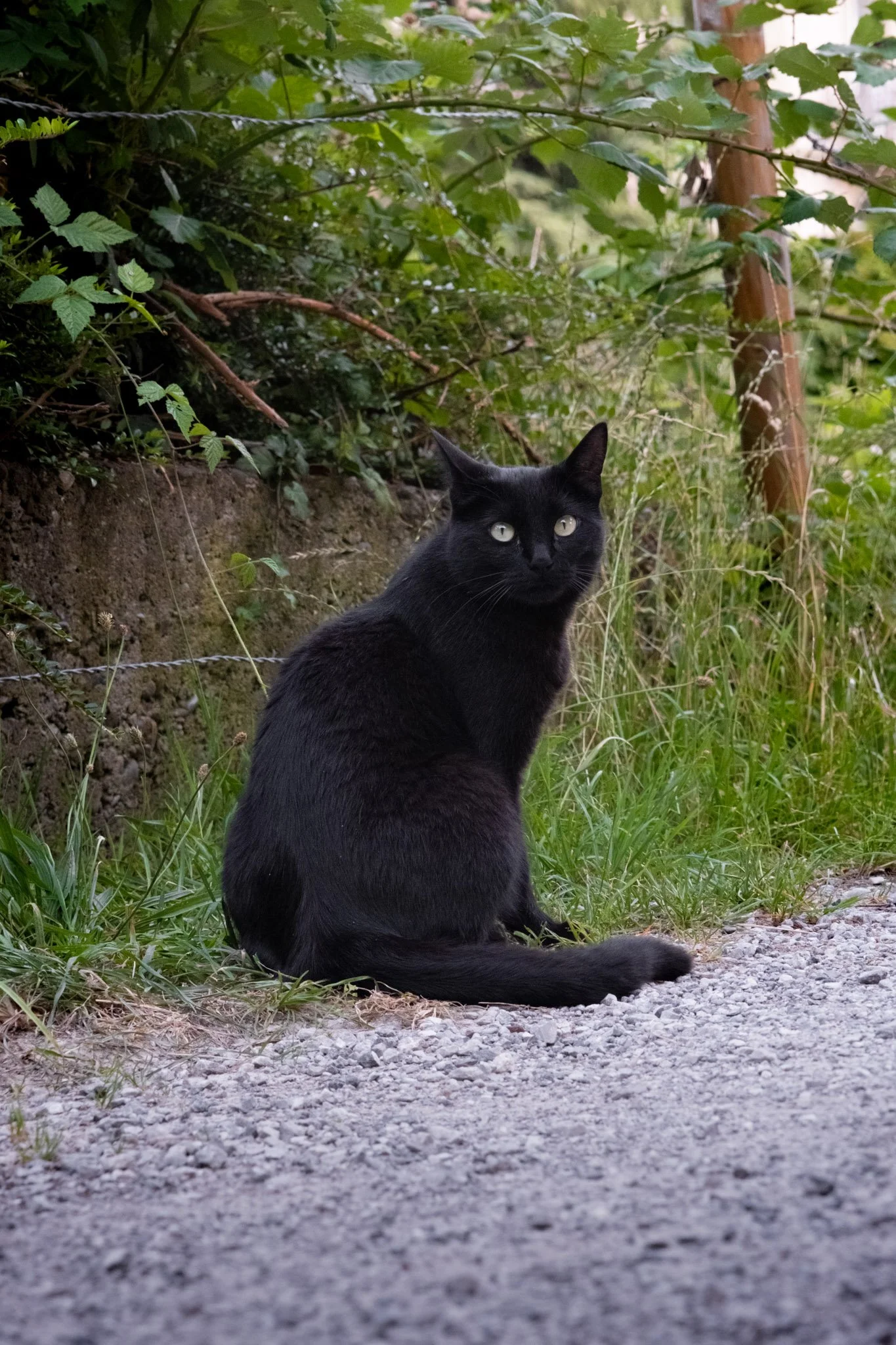 DSCF8124.jpg