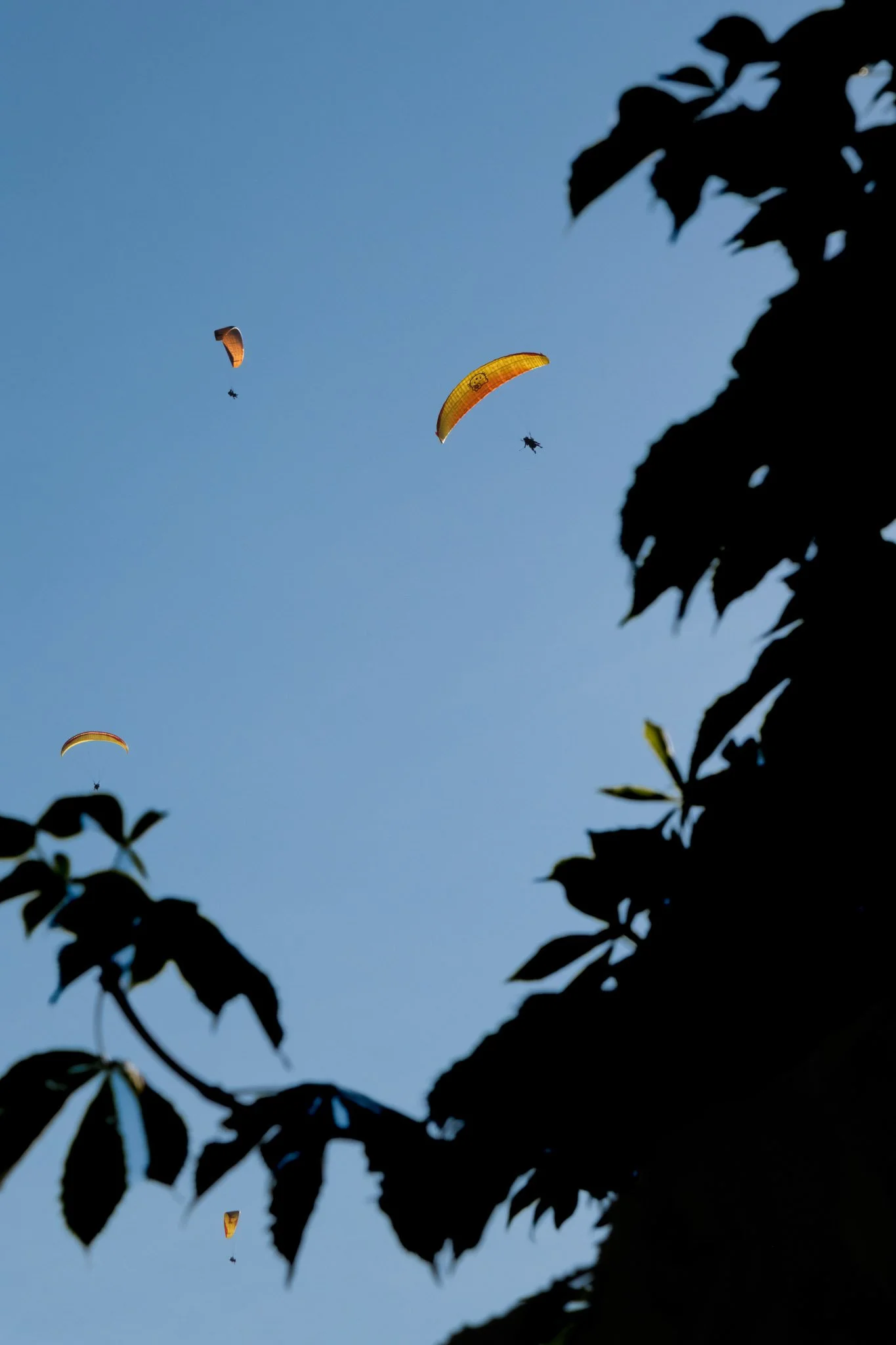 DSCF8360.jpg