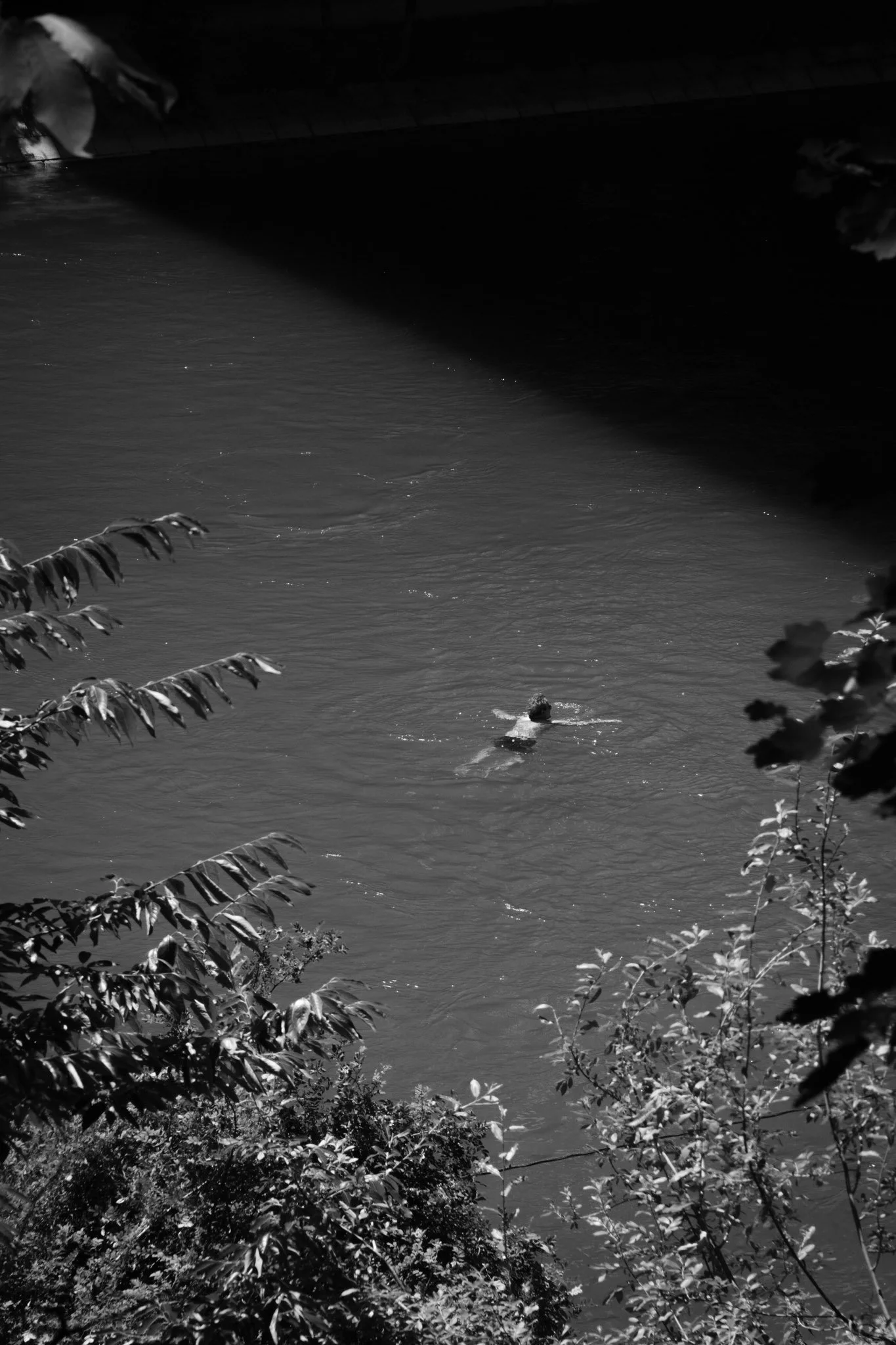 DSCF8561.jpg