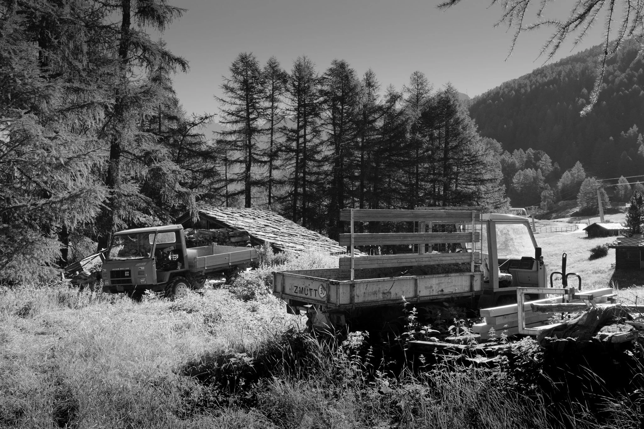 DSCF7940.jpg