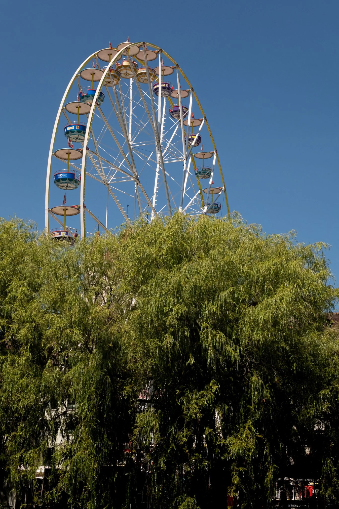 DSCF8481.jpg