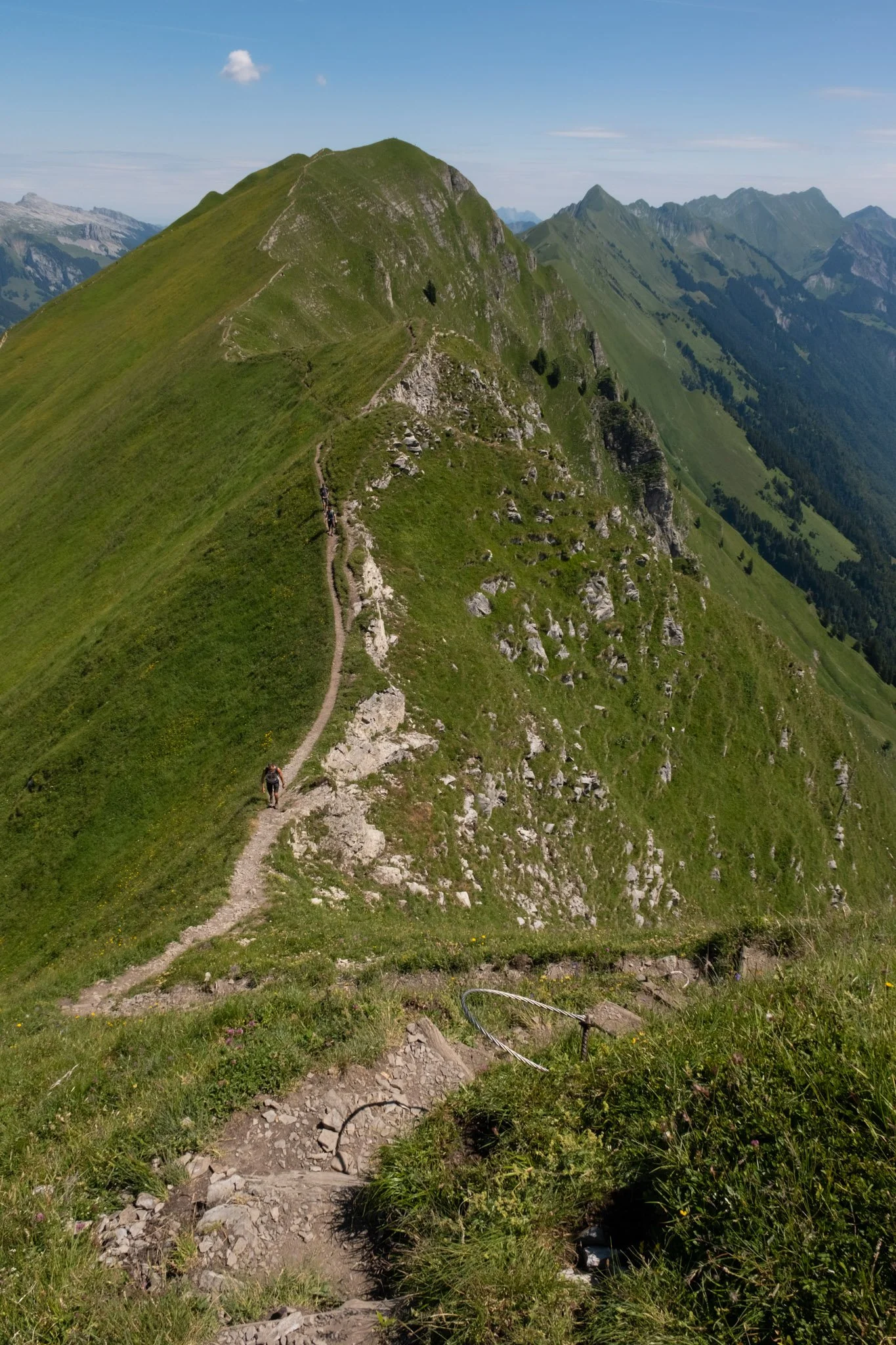 DSCF8413.jpg