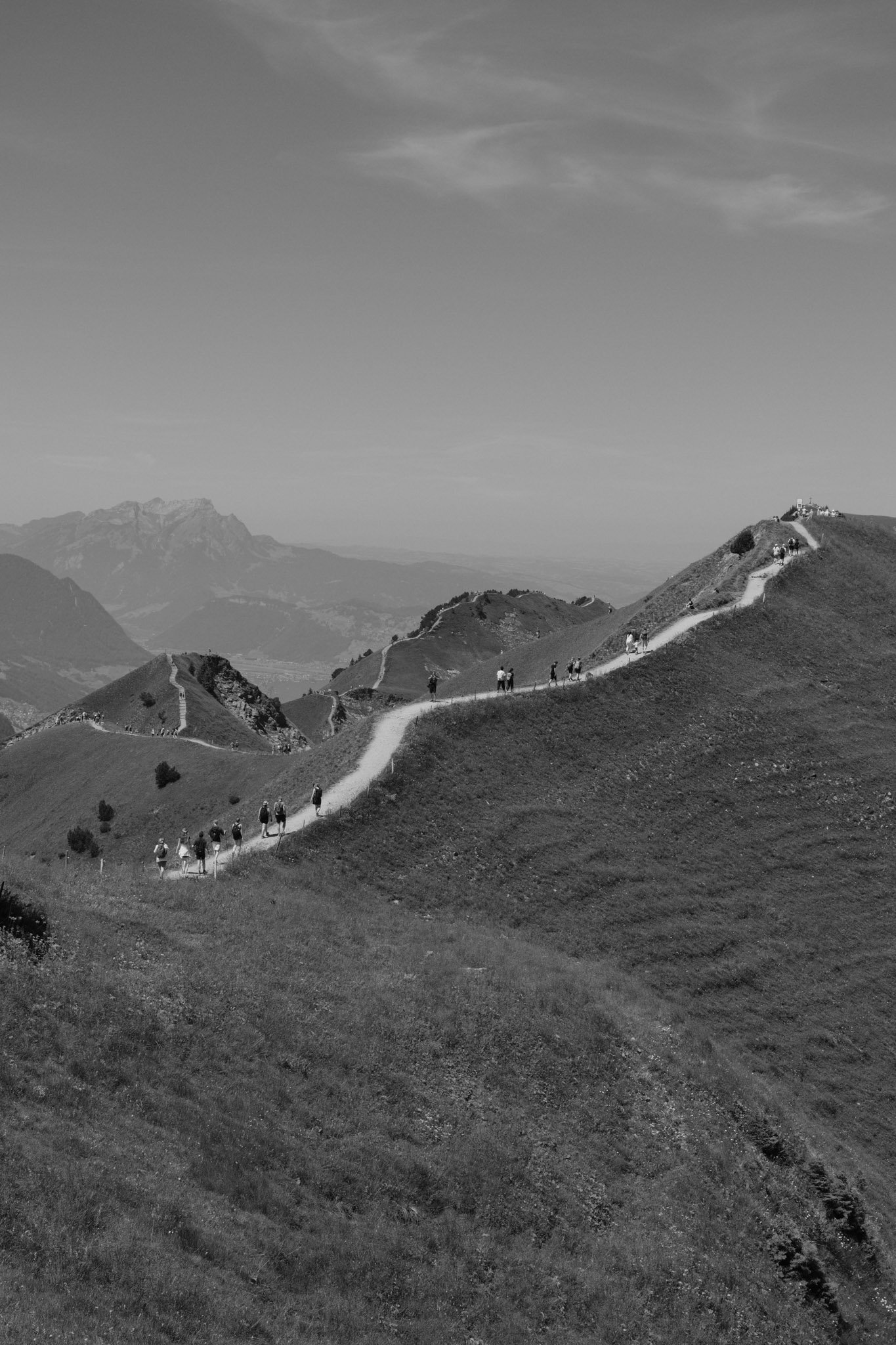 DSCF8702.jpg