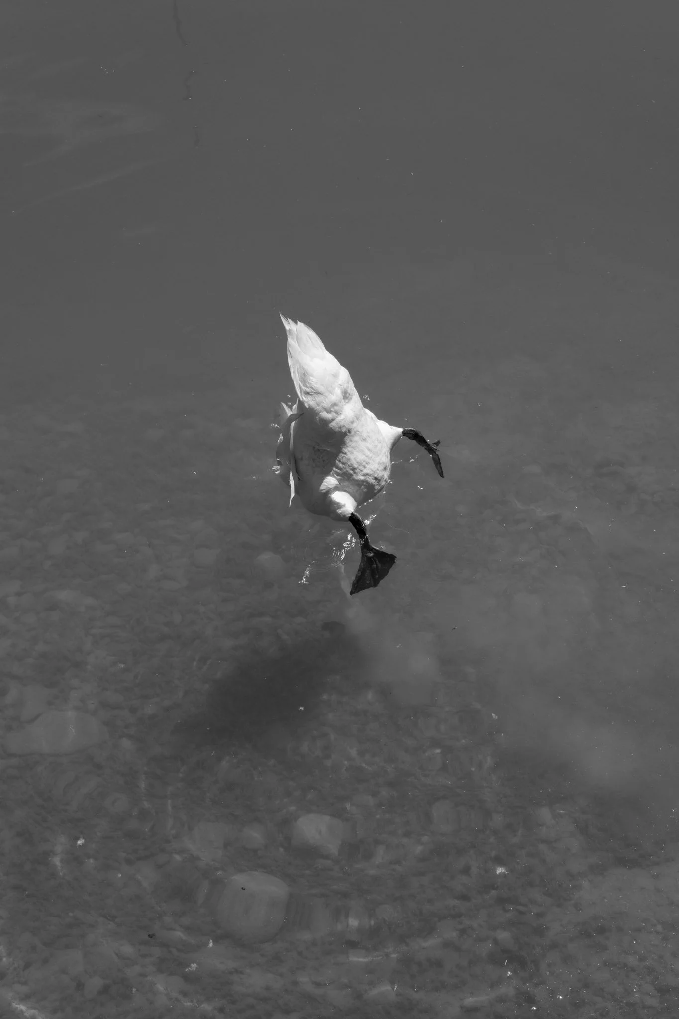 DSCF8317.jpg