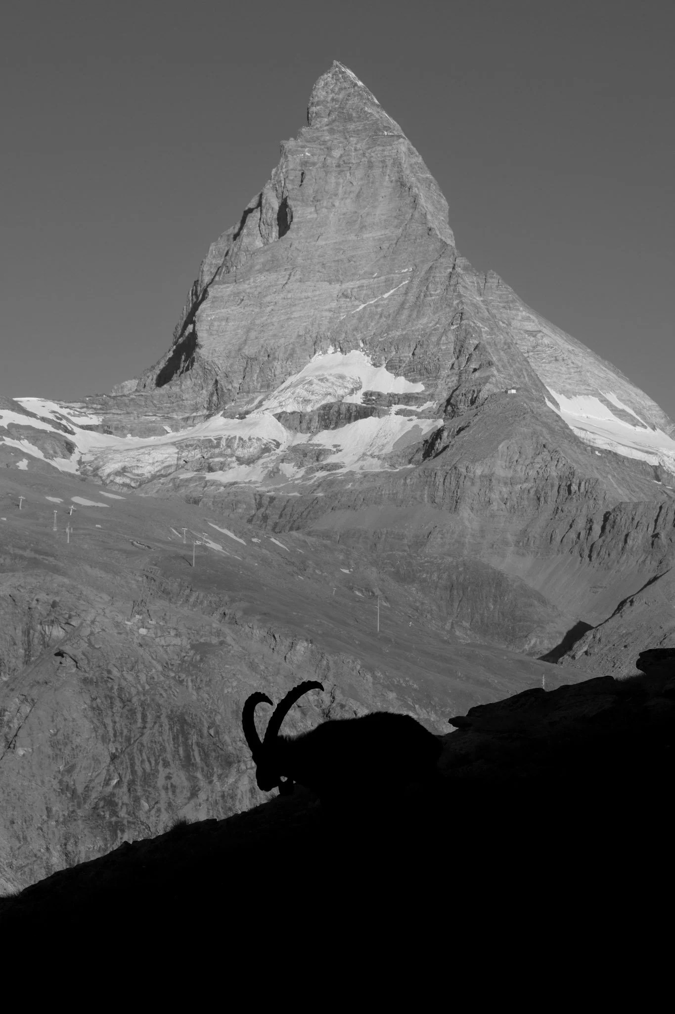 DSCF7895.jpg