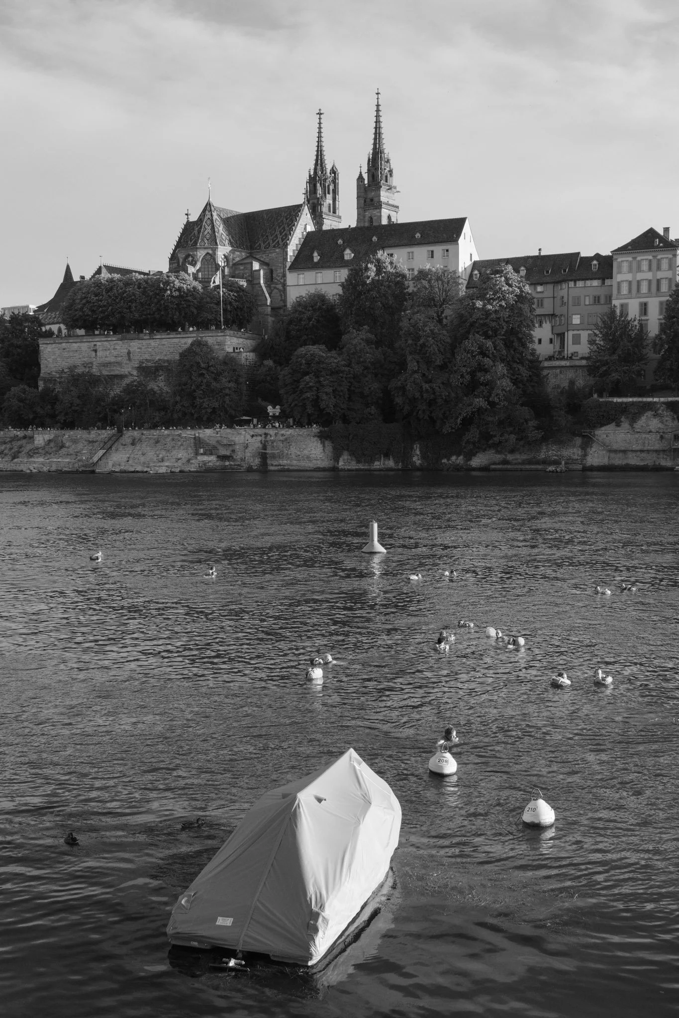 DSCF8590.jpg