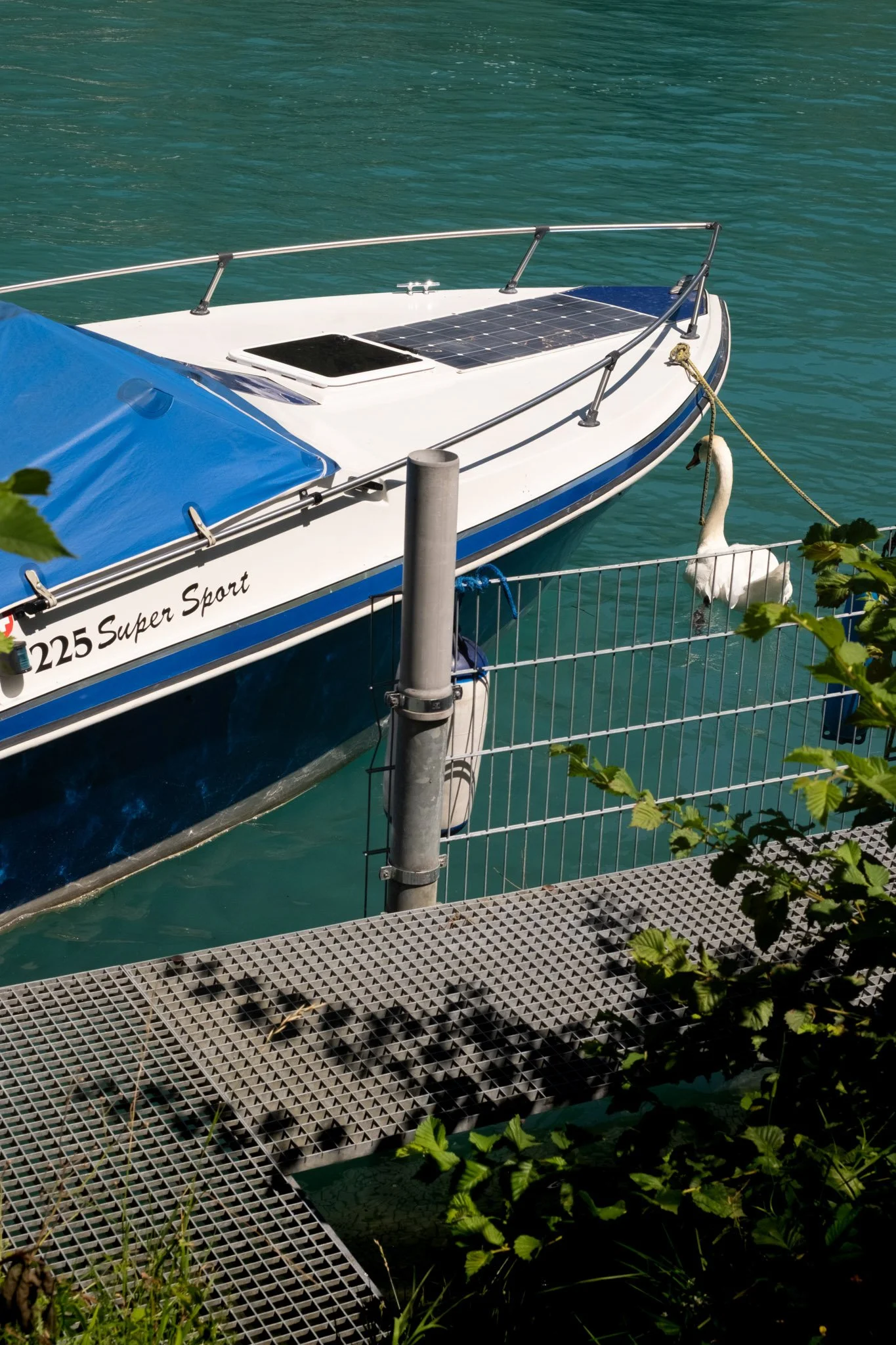 DSCF8277.jpg