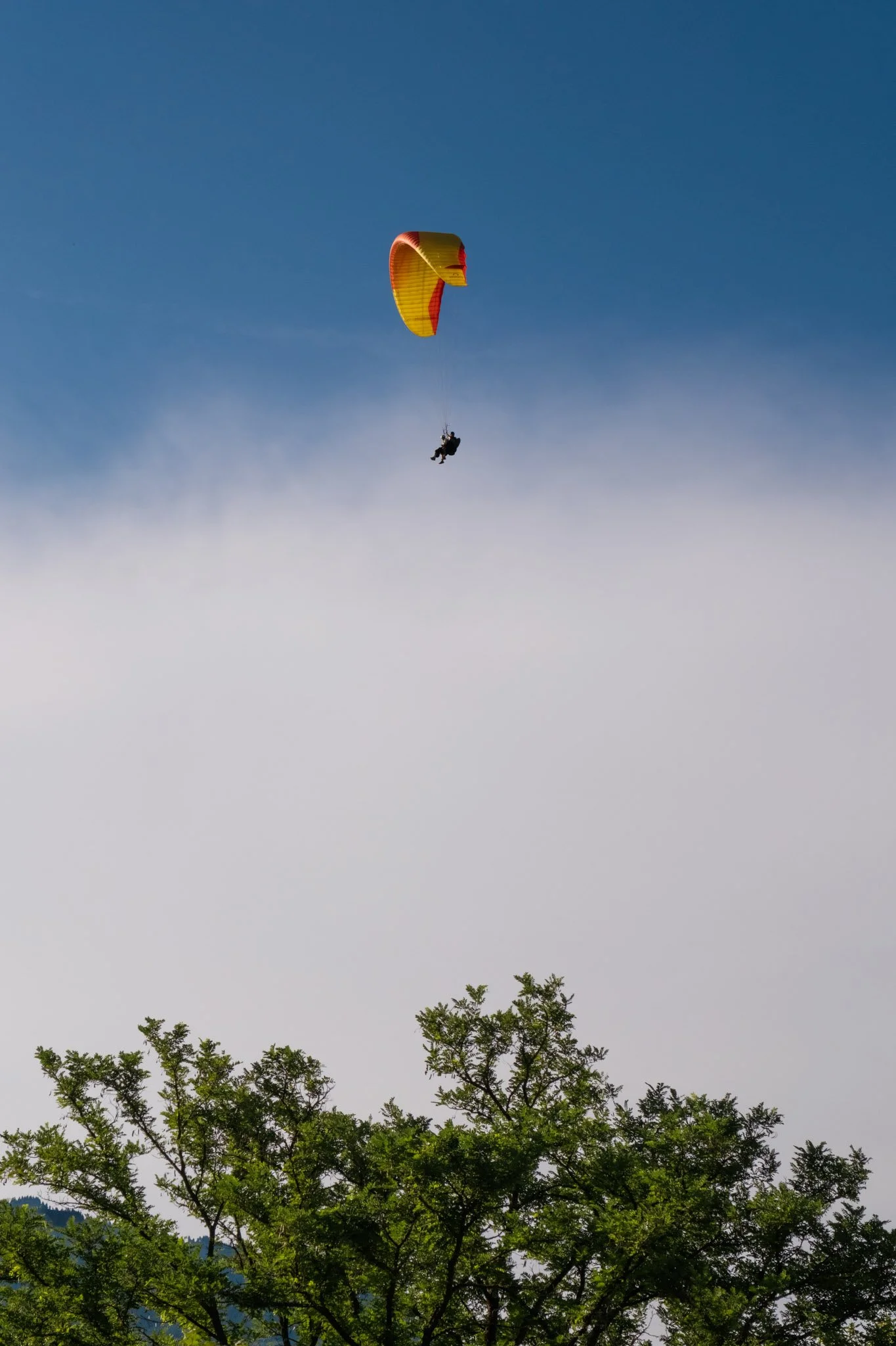 DSCF8375.jpg
