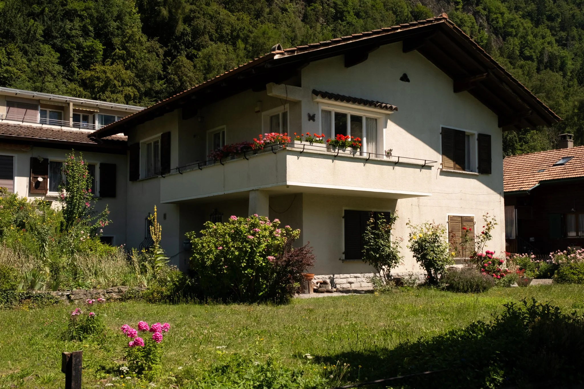 DSCF8205.jpg