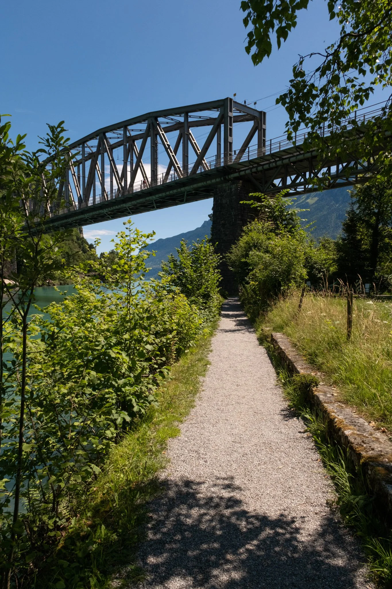 DSCF8289.jpg