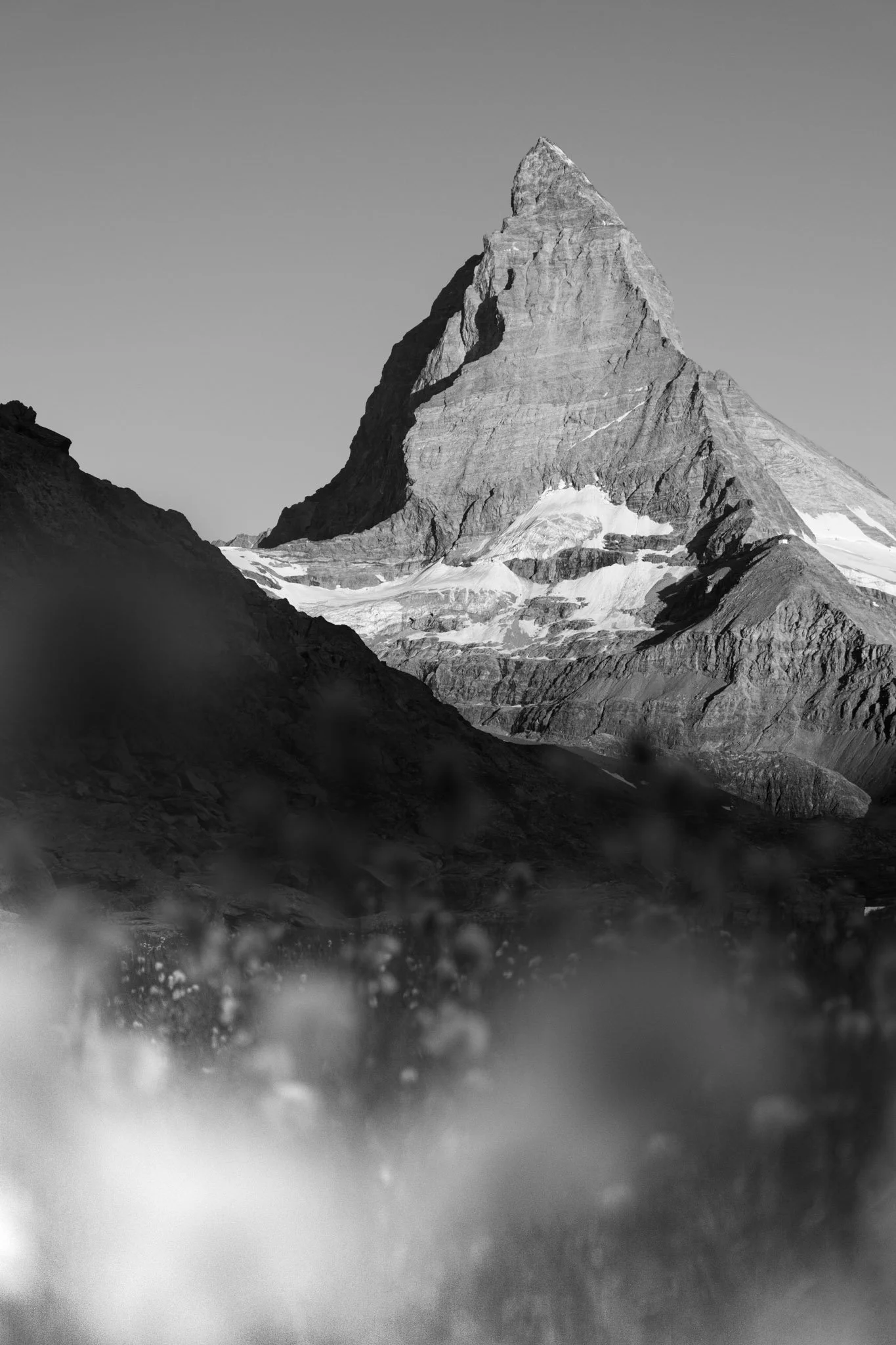 DSCF7840.jpg