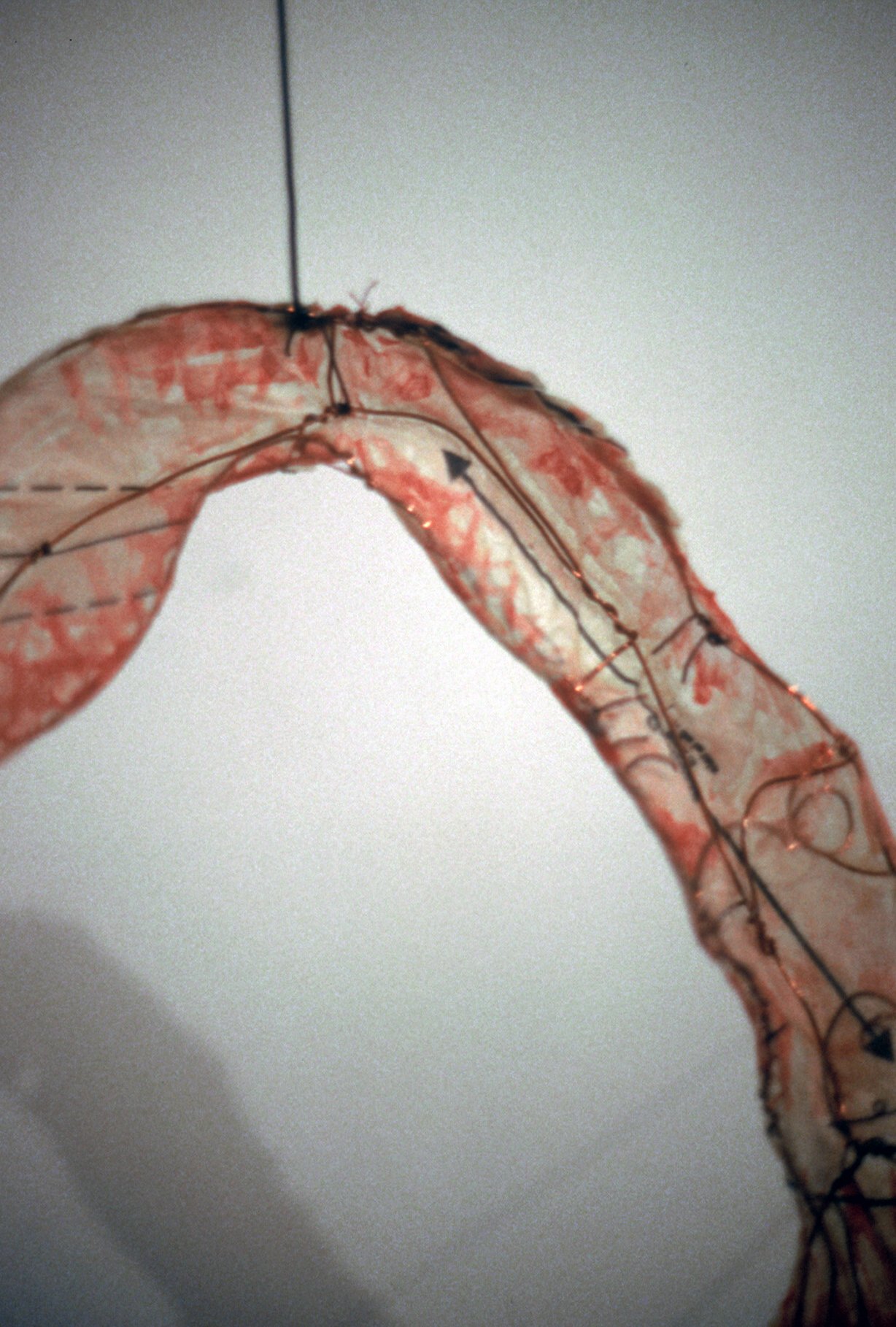 Hung Arch, detail