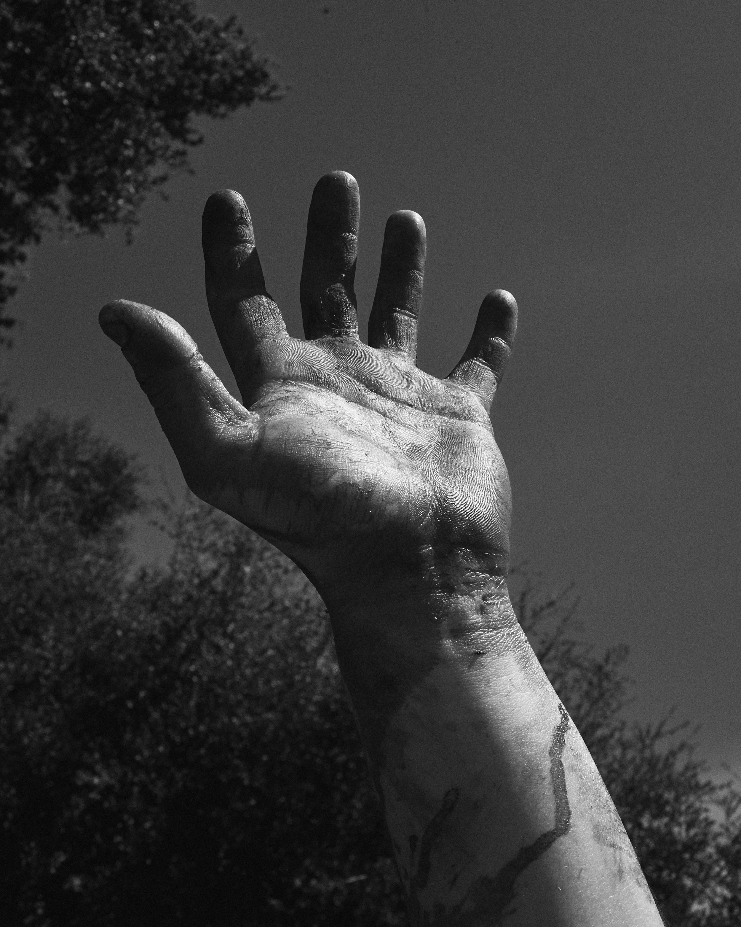 V0040874.jpg