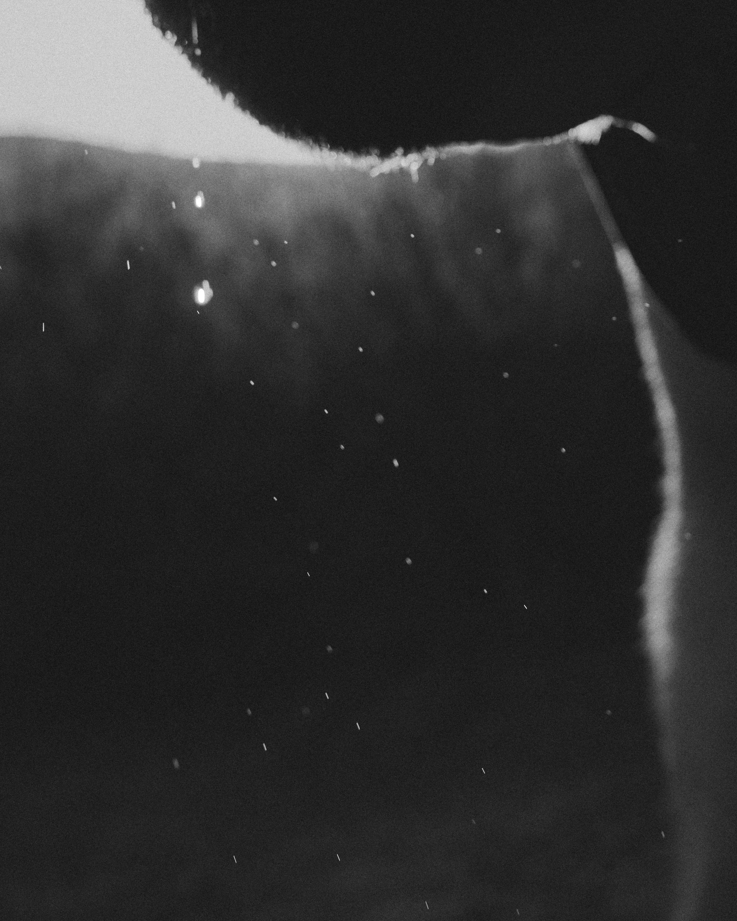 _09A8879.jpg
