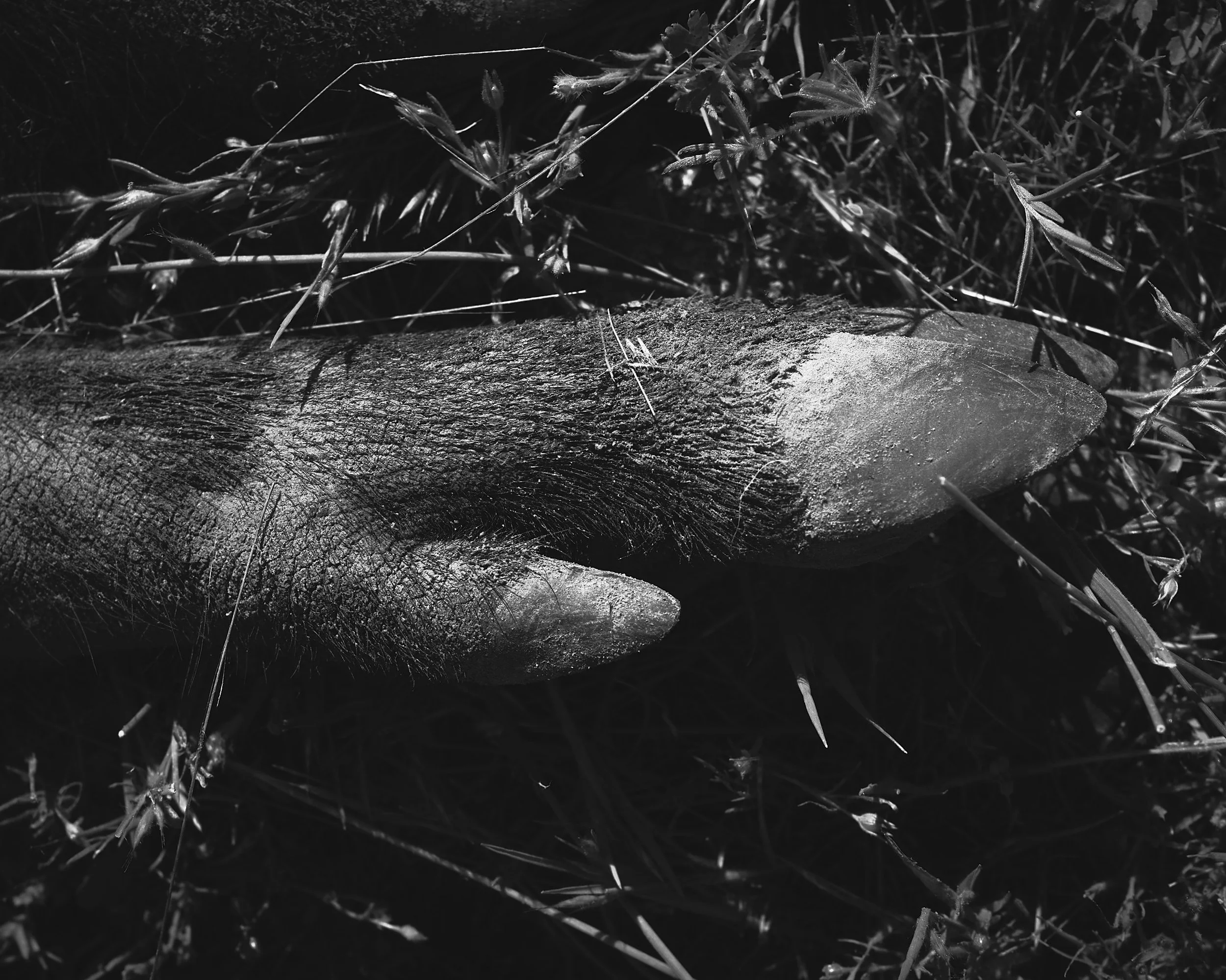 V0040804.jpg