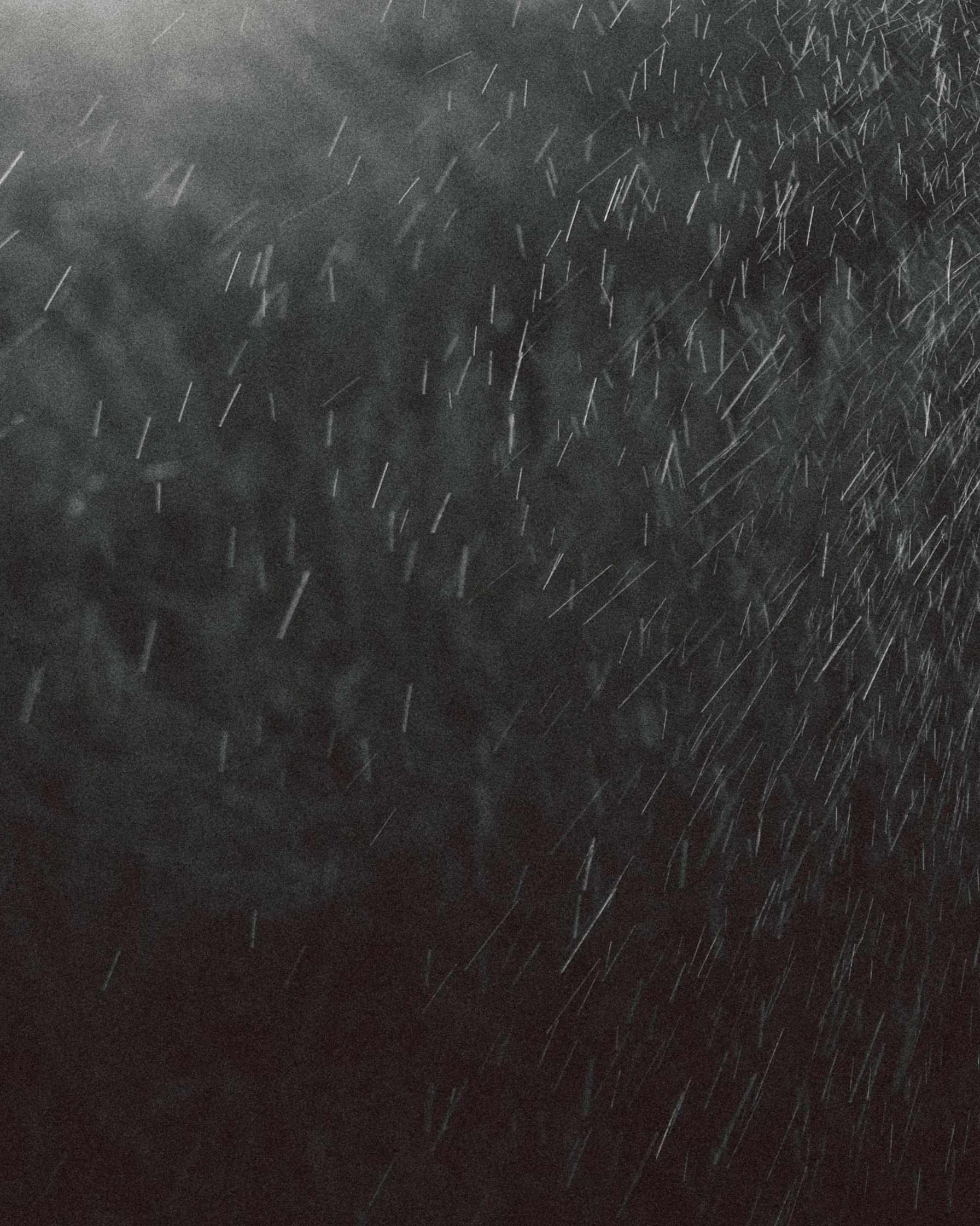 _09A8930 1.jpg