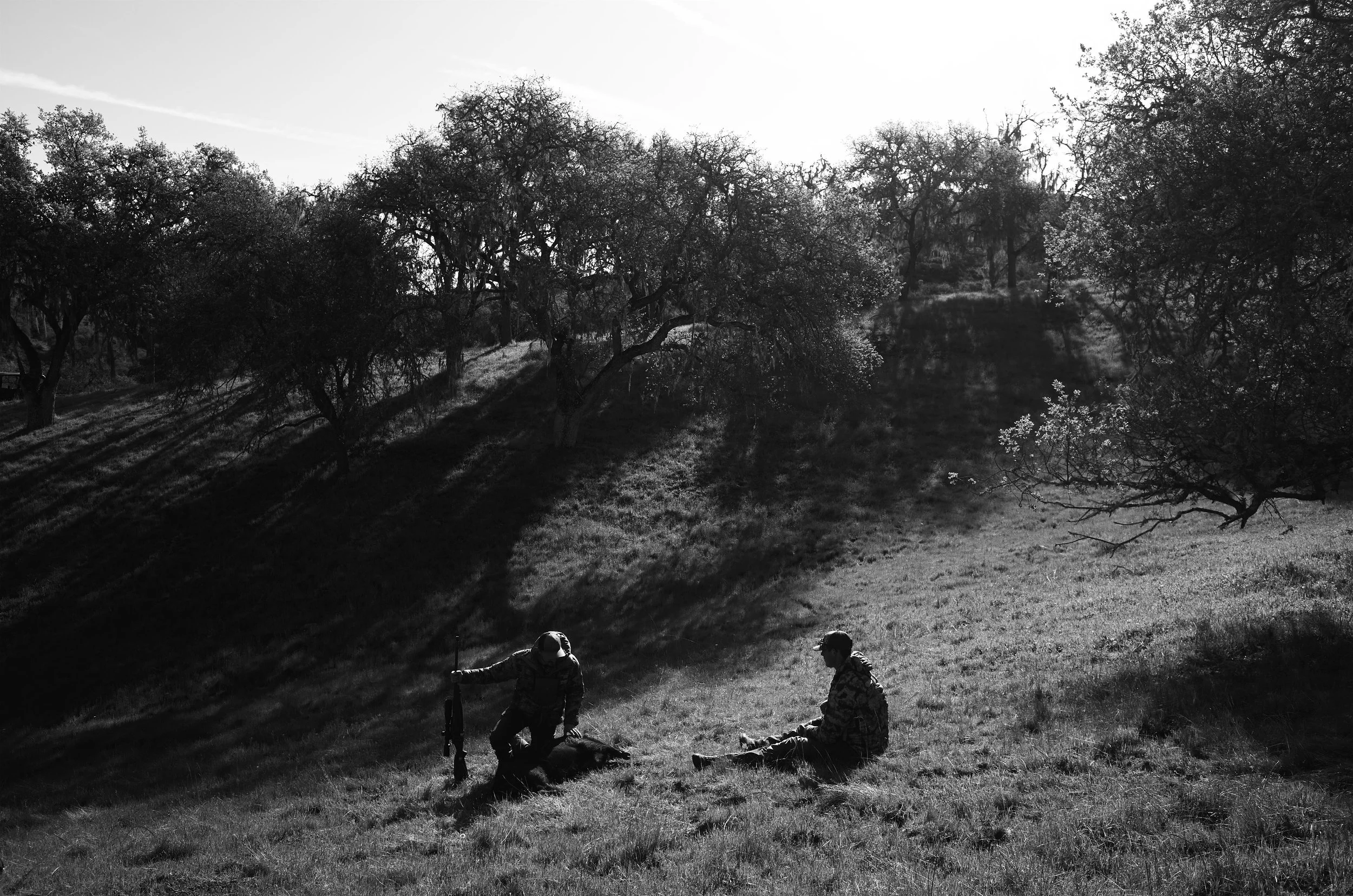 V0040806 1.jpg