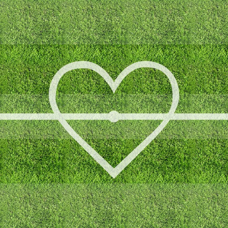 Heart in grass.jpg