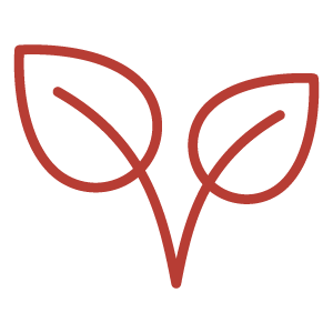 A minimalist line drawing of three leaves with stems.