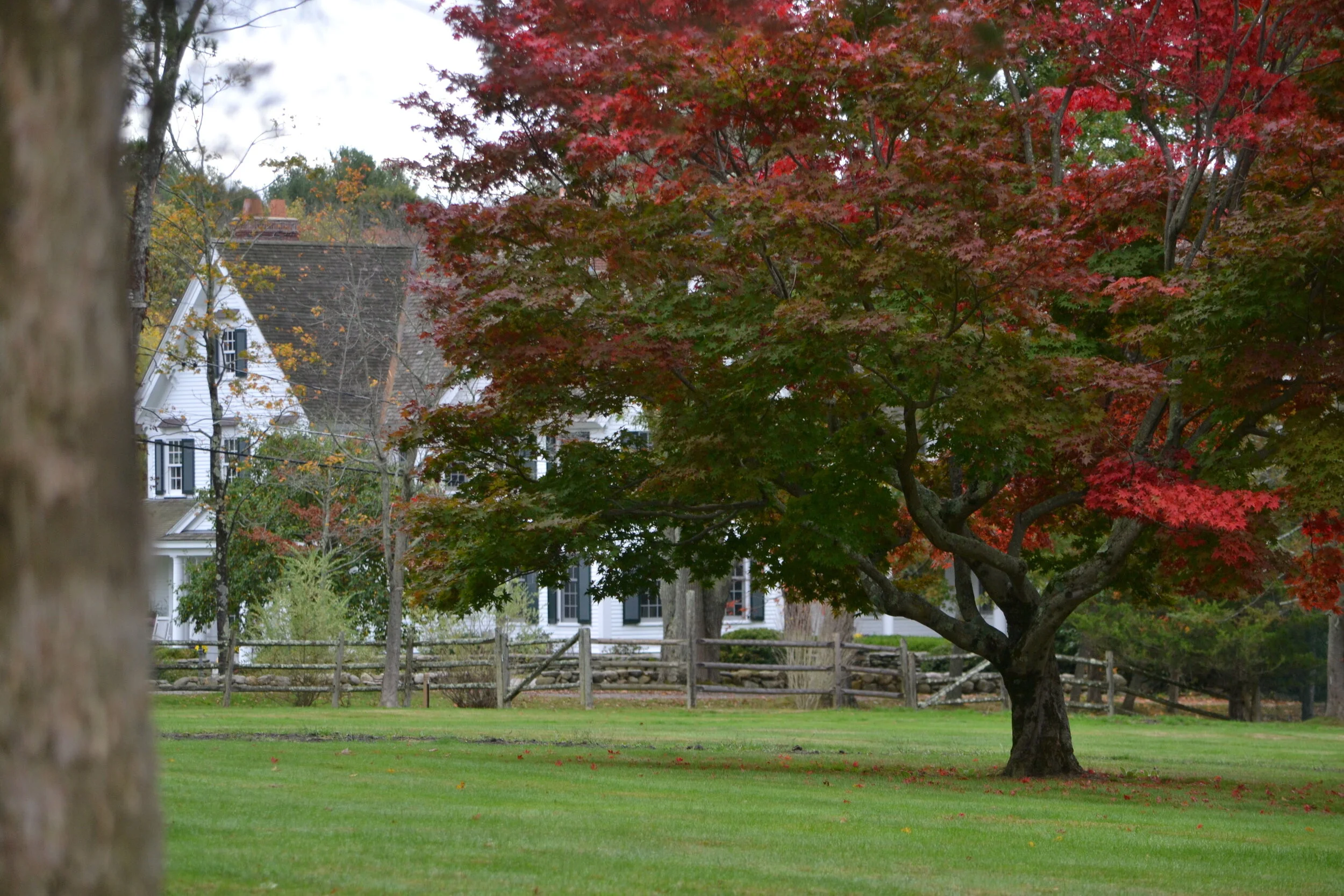 Fall ... it's what keeps me here!