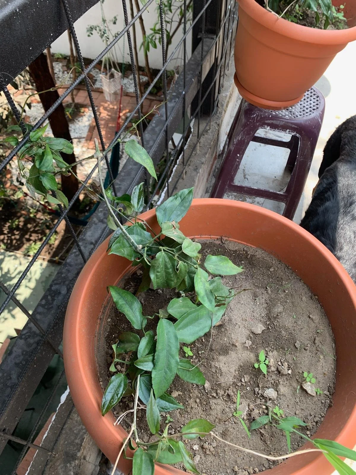 WhatsApp Image 2025-10-31 at 09.13.30.jpeg