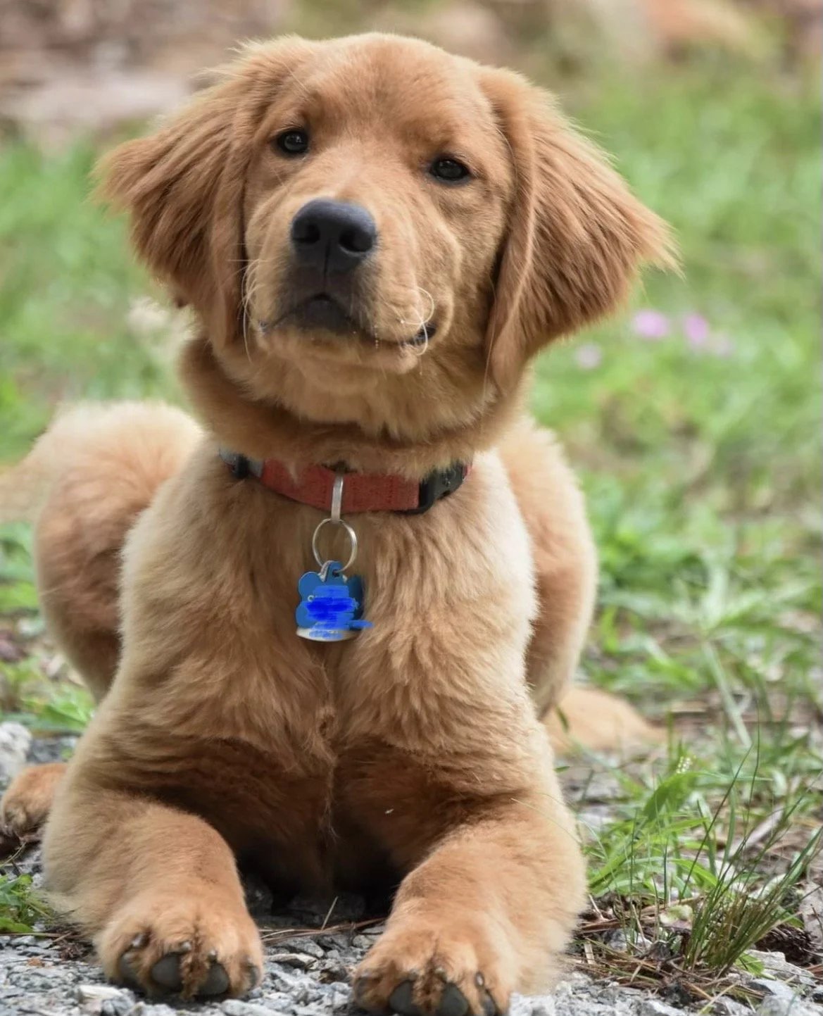 Shayna, Preston neighbor
