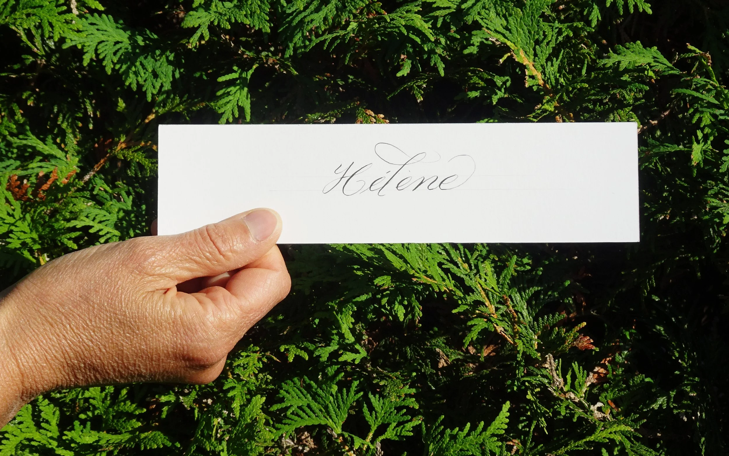  Un signet de Yolande en anglaise. Photo&nbsp;: Claire Bourassa 